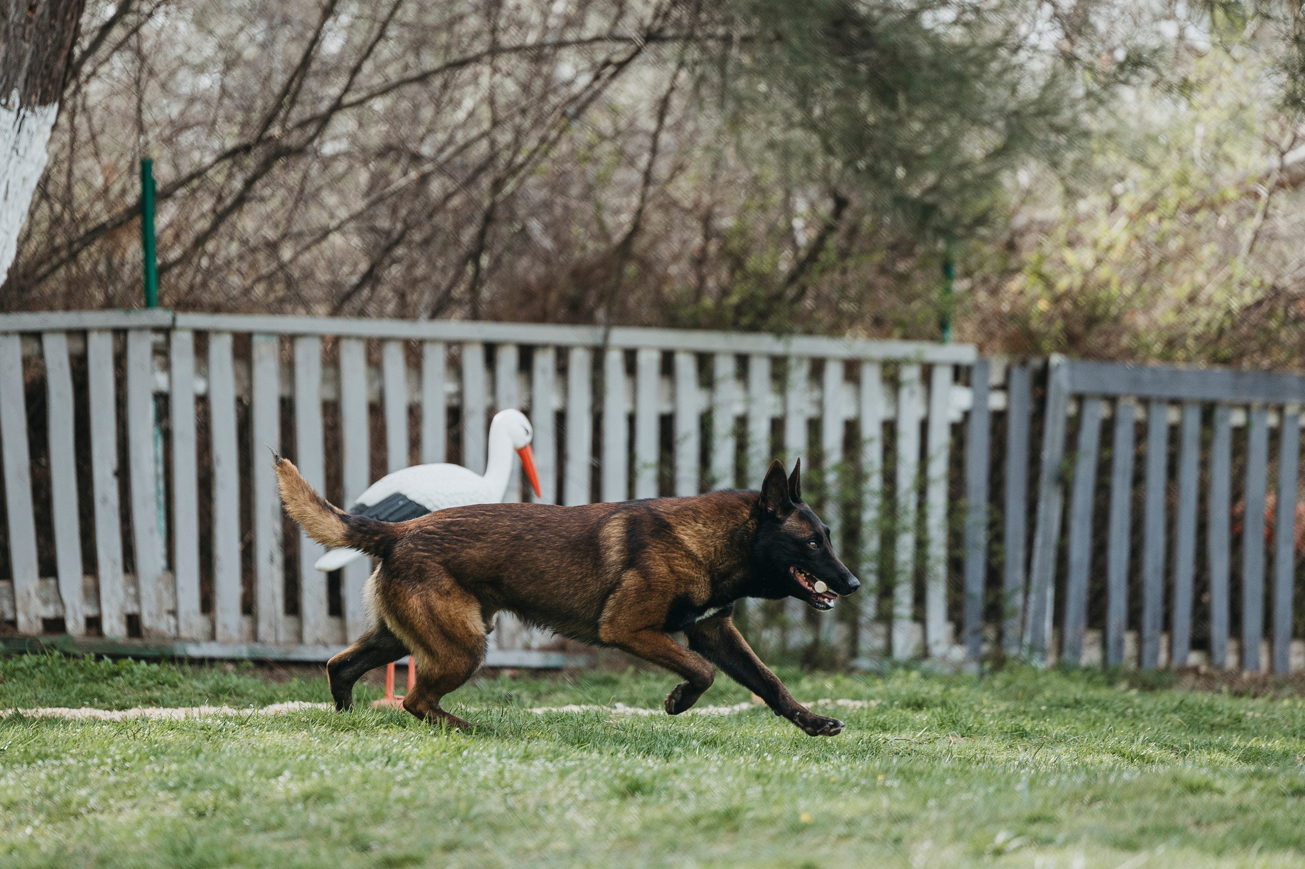 Геленджик Мондьоринг. Фотограф-анималист Анна Маринич