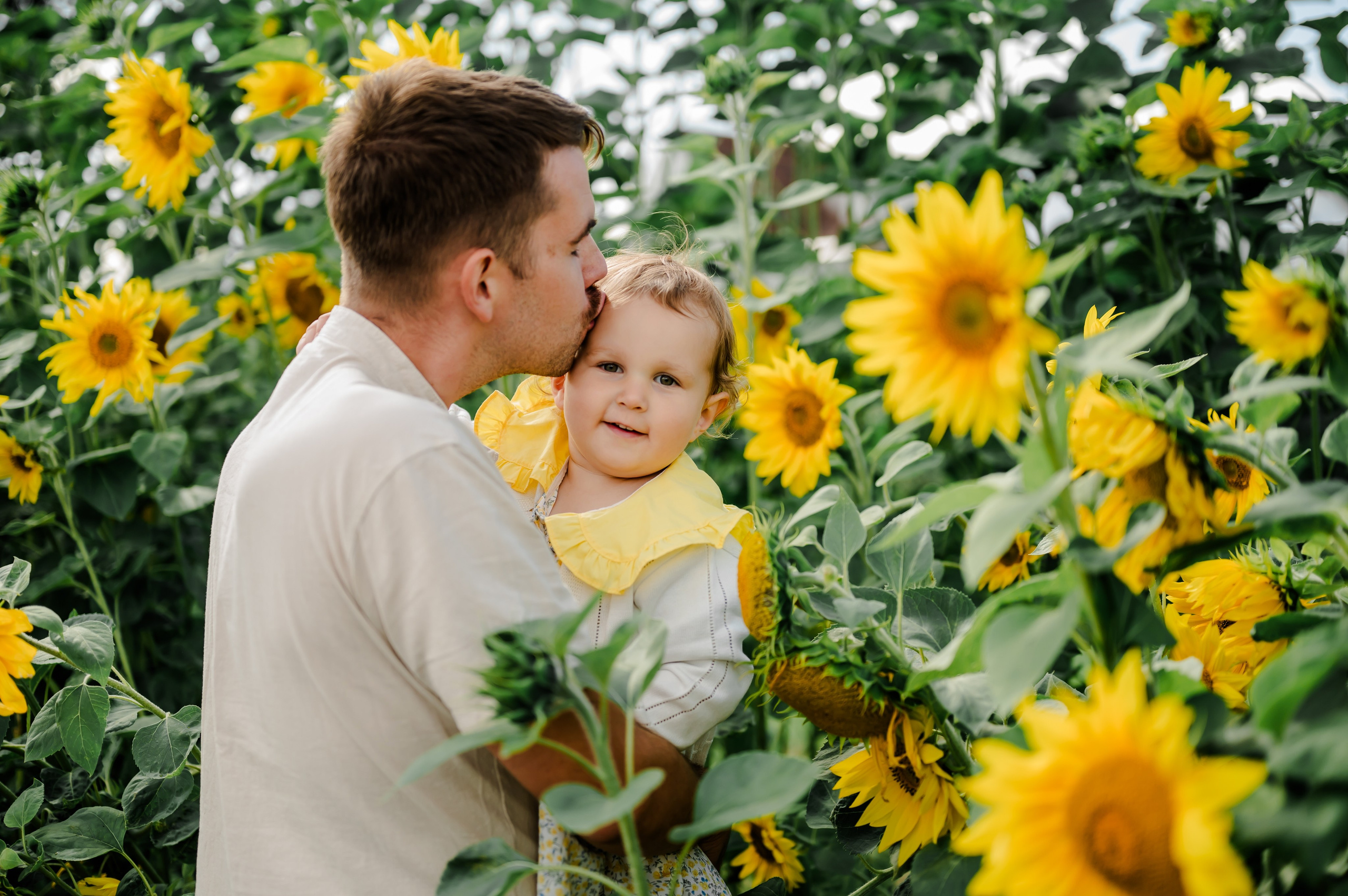 Подсолнухи. Свадебный и семейный фотограф Евгения Кононова