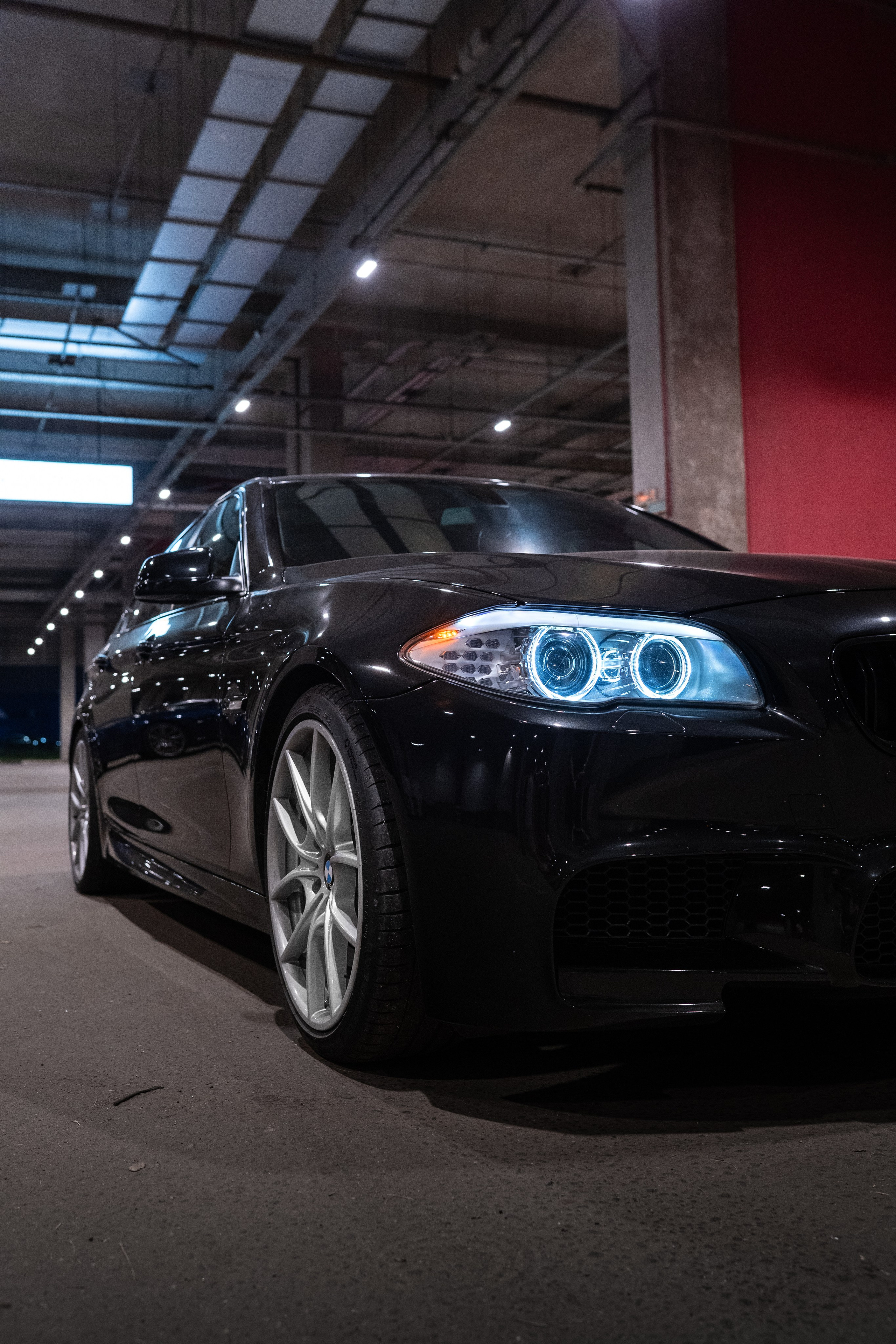 DOWNFLY | 13.07.2024. Mirllaev