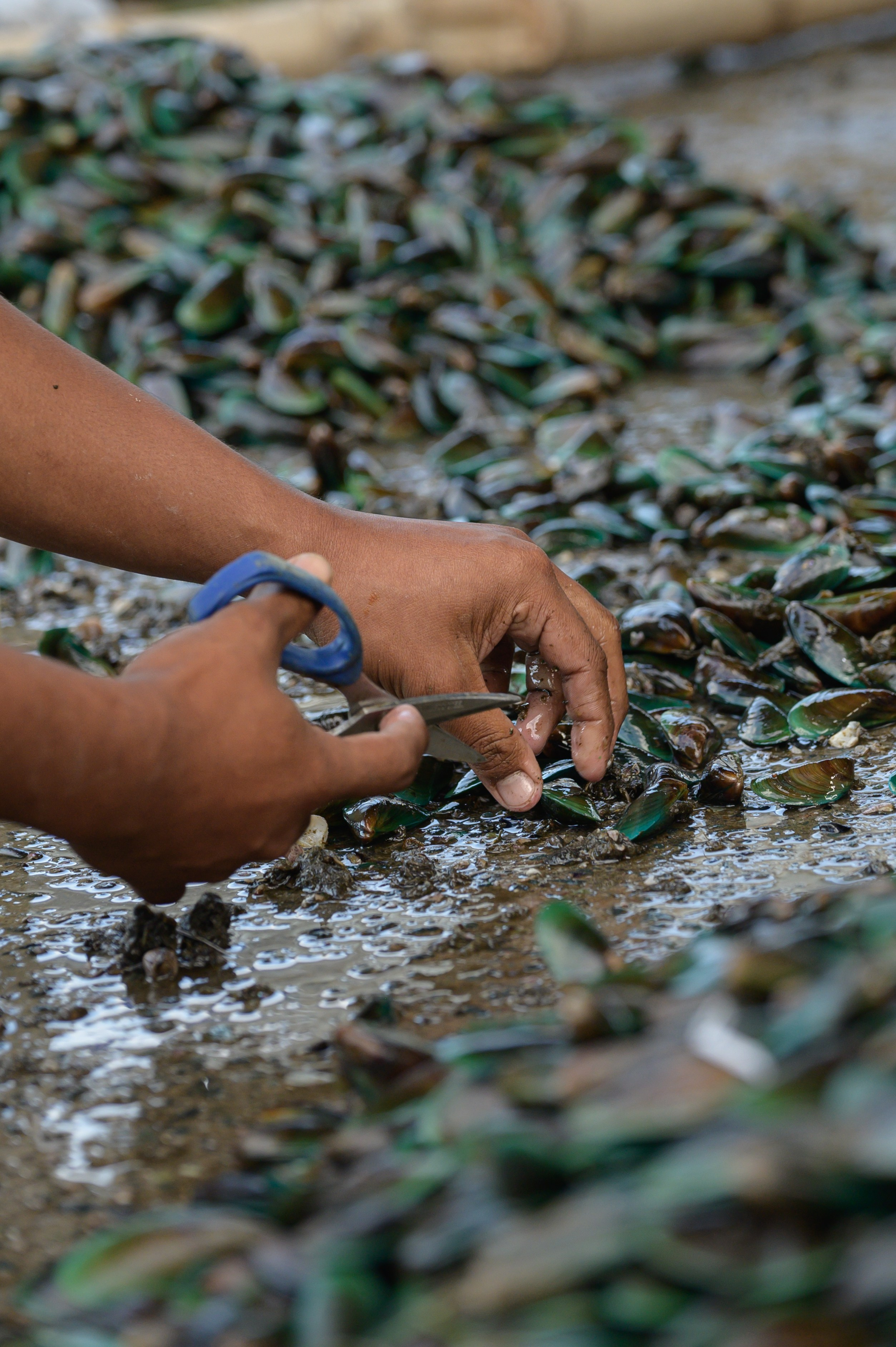 Один день в Маниле