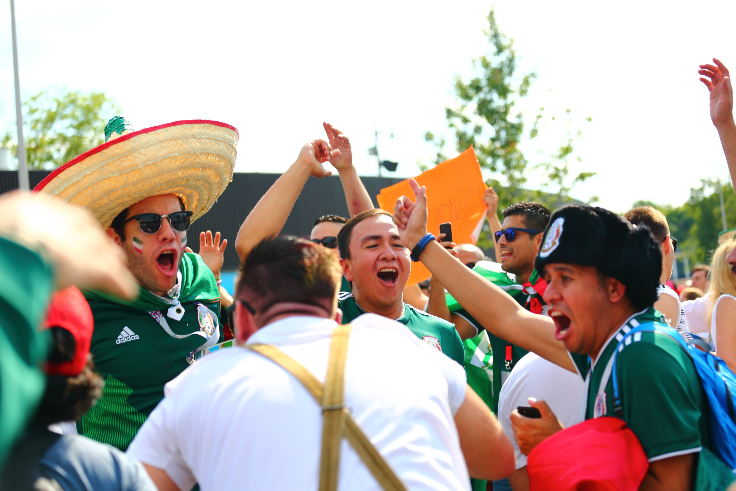 Чемпионат мира по футболу. Свадебный и репортажный фотограф в Ярославле и Санкт-Петербурге Роман Микрюков