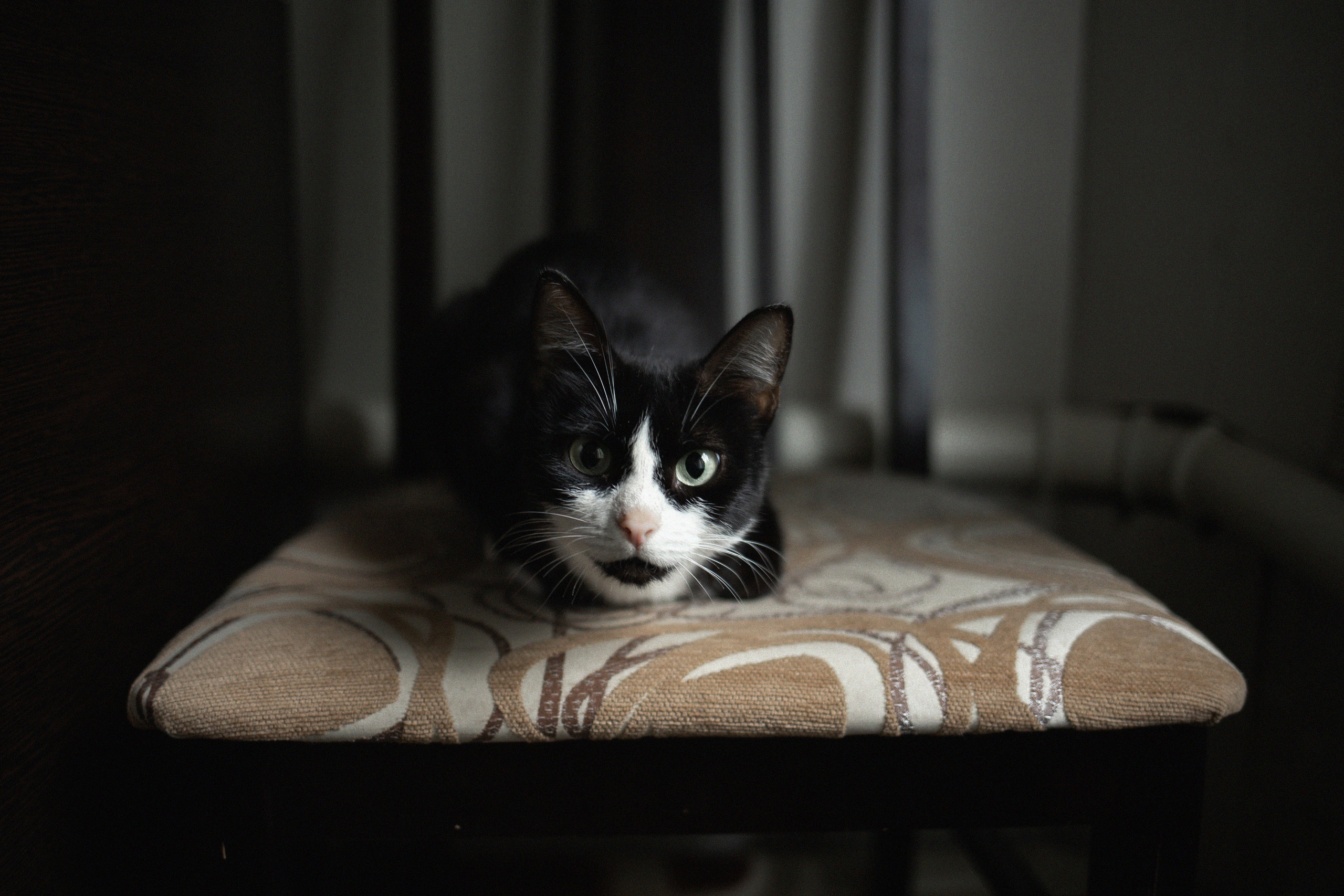 Александр и Анна. Свадебный фотограф Нижний Новгород | Софа Полякова