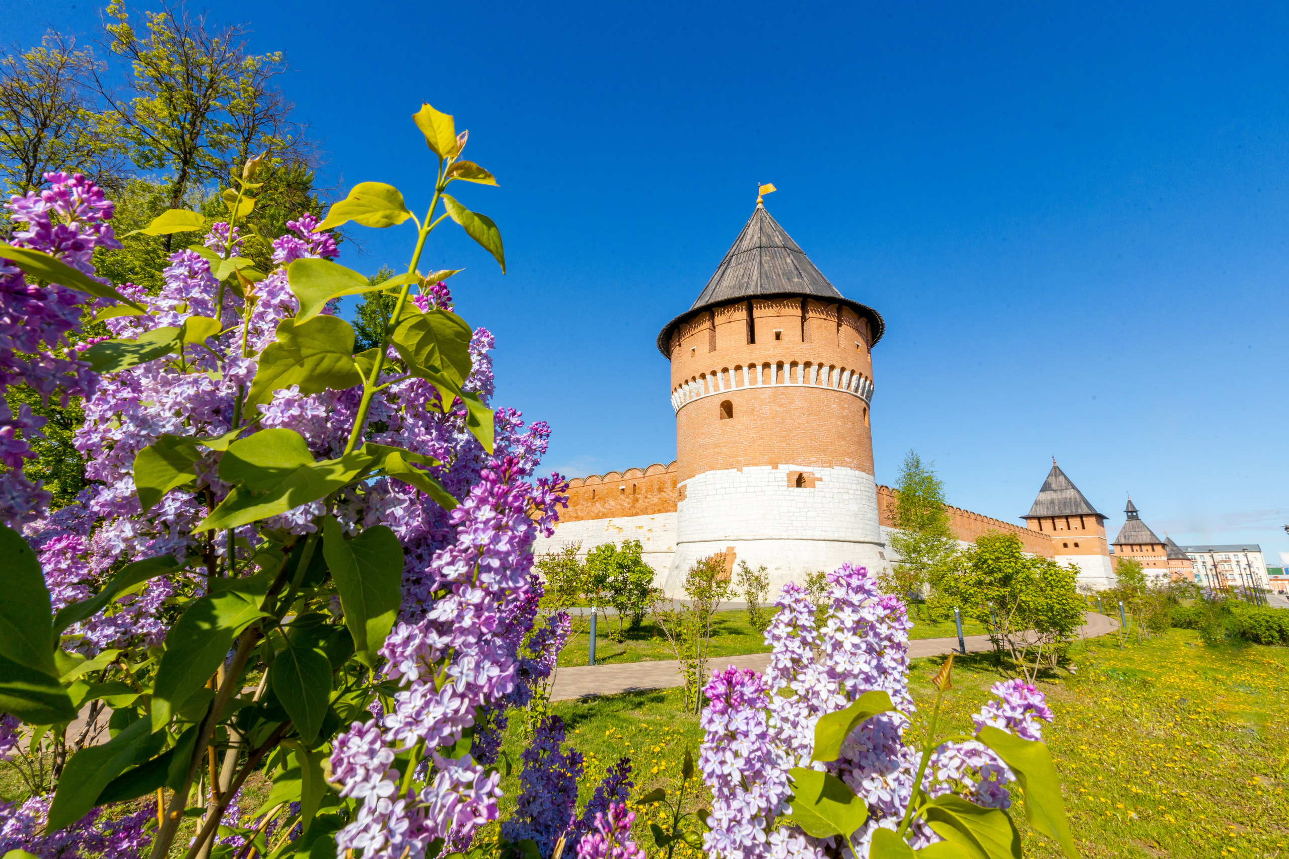 Весеннее цветение в Туле. Фотограф в Туле Крупский АнДРей. Фотостудия «КАДР71» в Туле