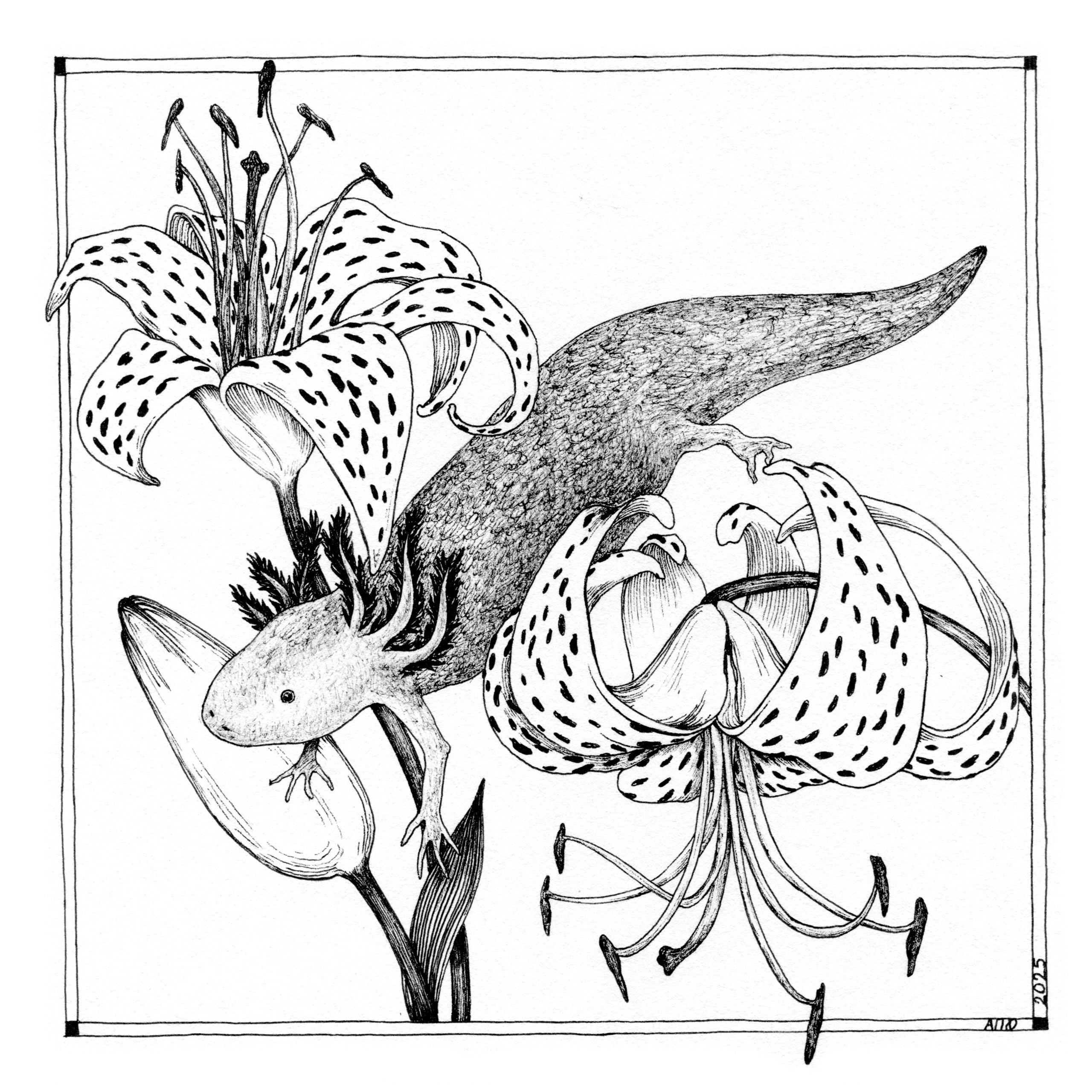 «Звериная серия». Художник Перепечėнова-Феофанова Анна