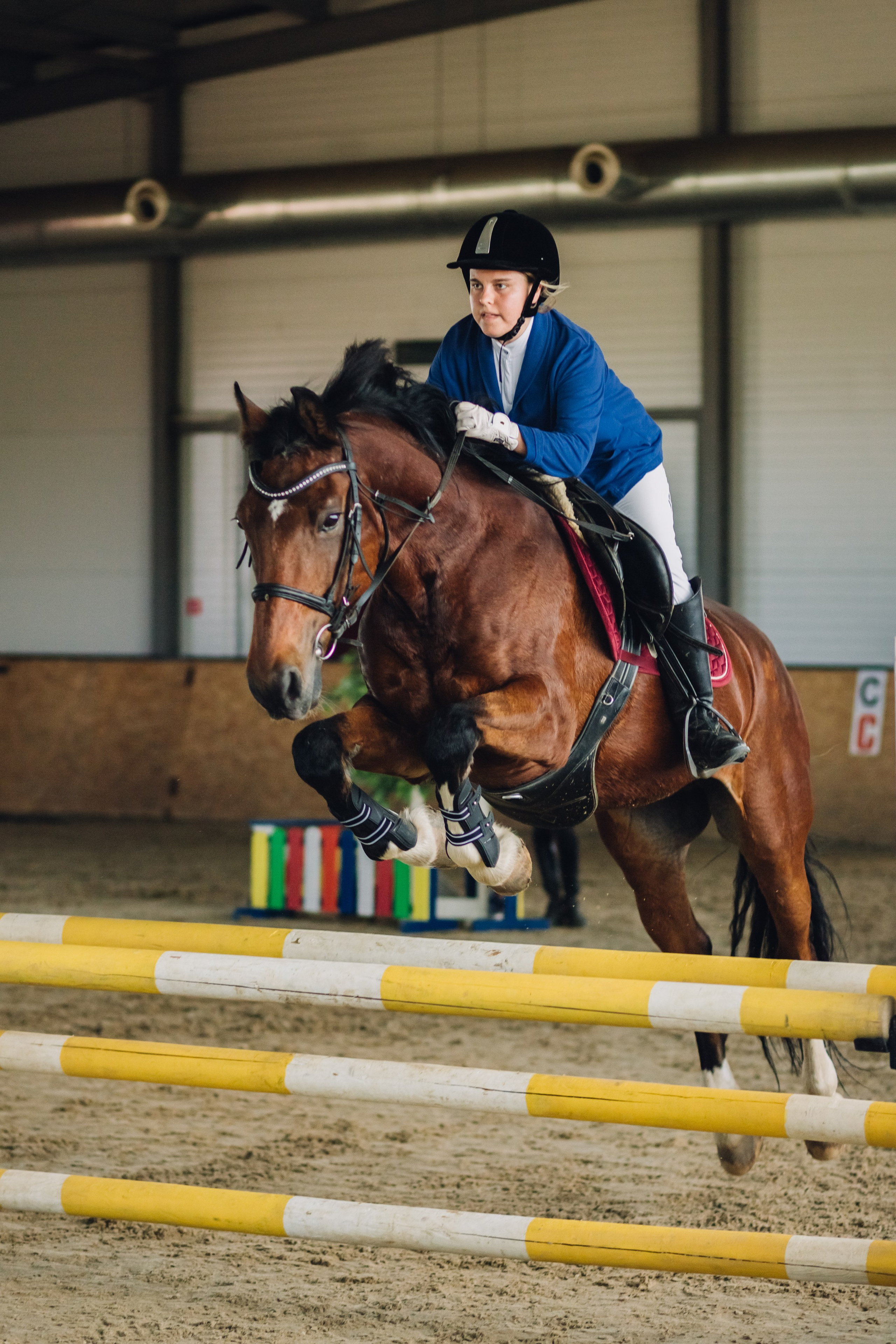 Соревнования. Ольга Белова. Портреты с лошадьми. Конная фотография