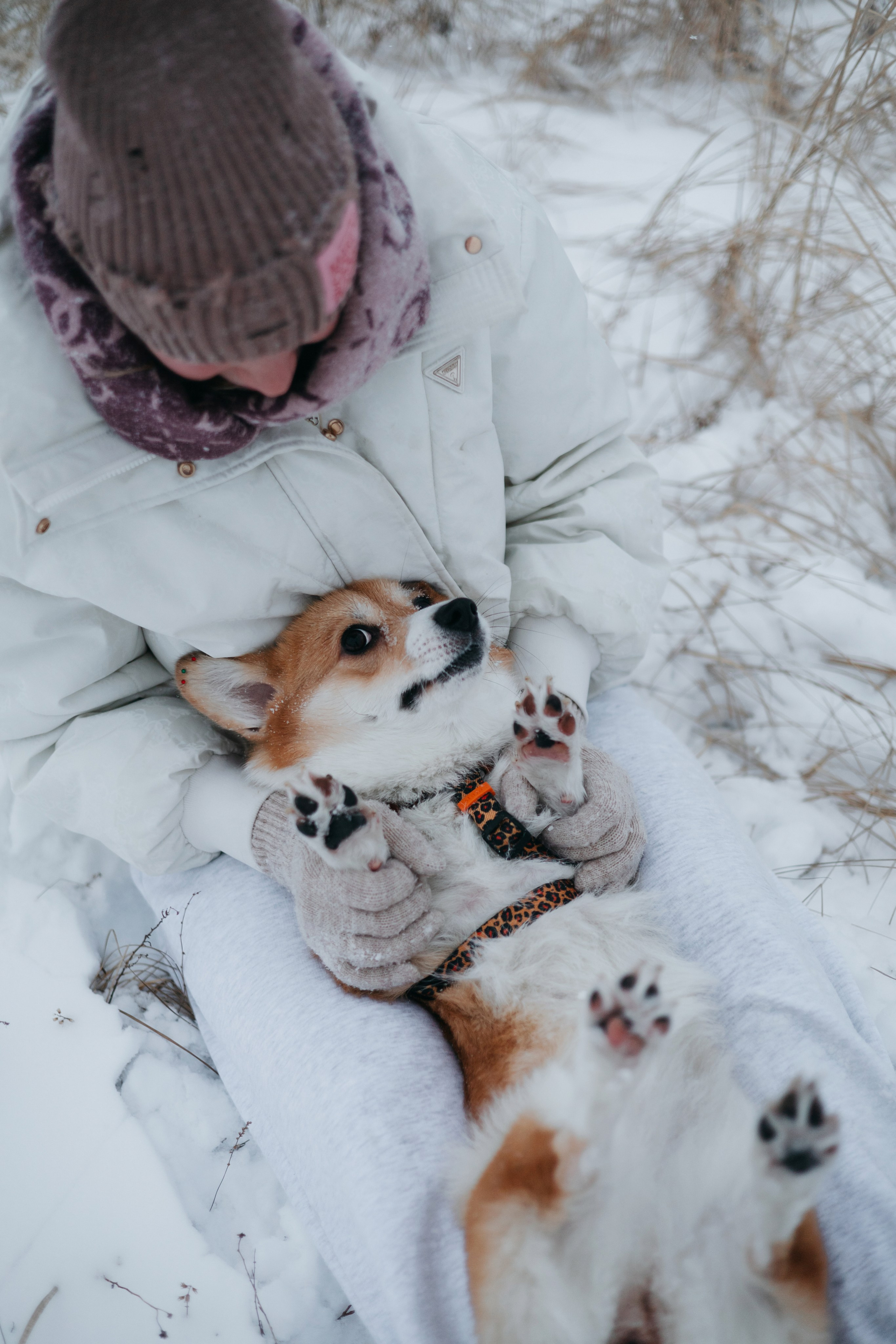 Лена, Лиза и Мия. Фотограф — анималист Владивосток, Алина