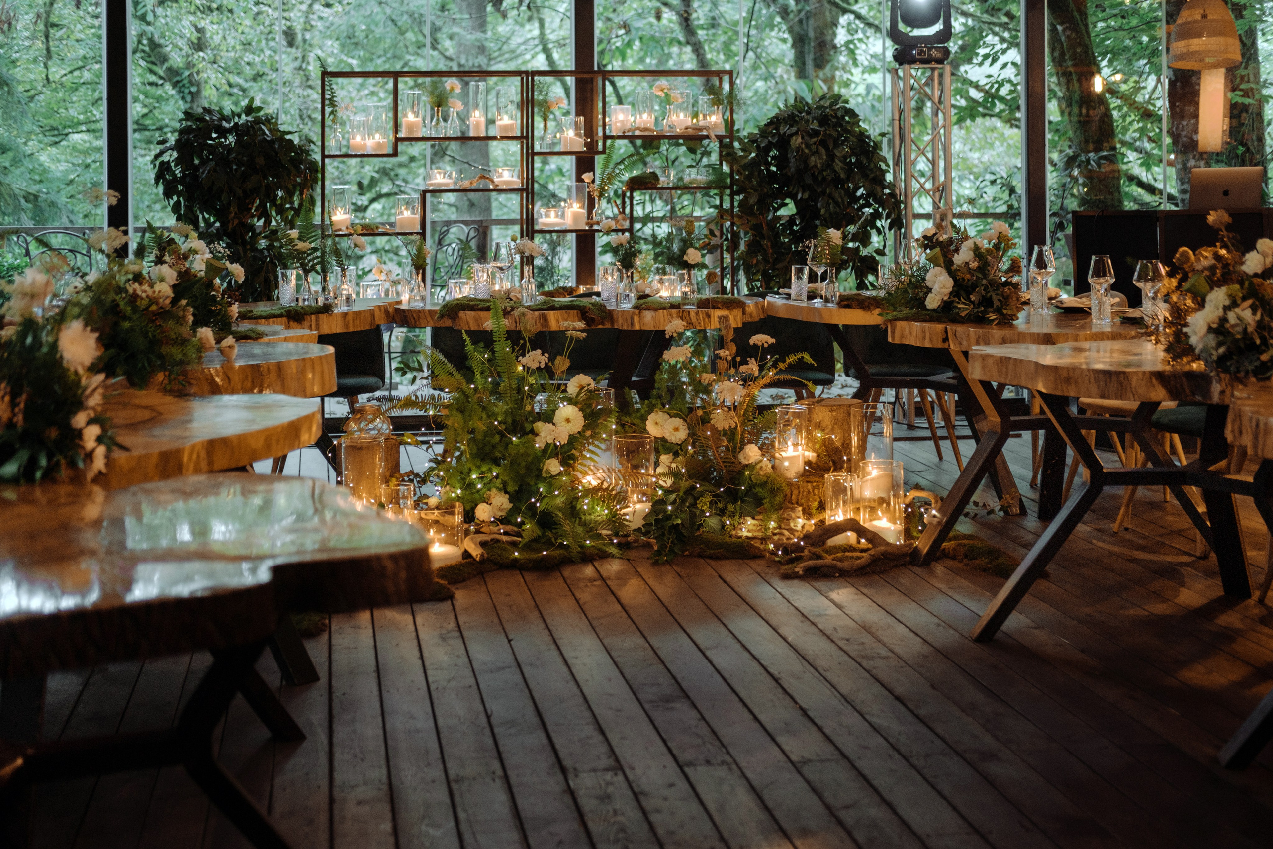 Кот и Дракон. Свадебный Видеограф Фотограф в Сочи