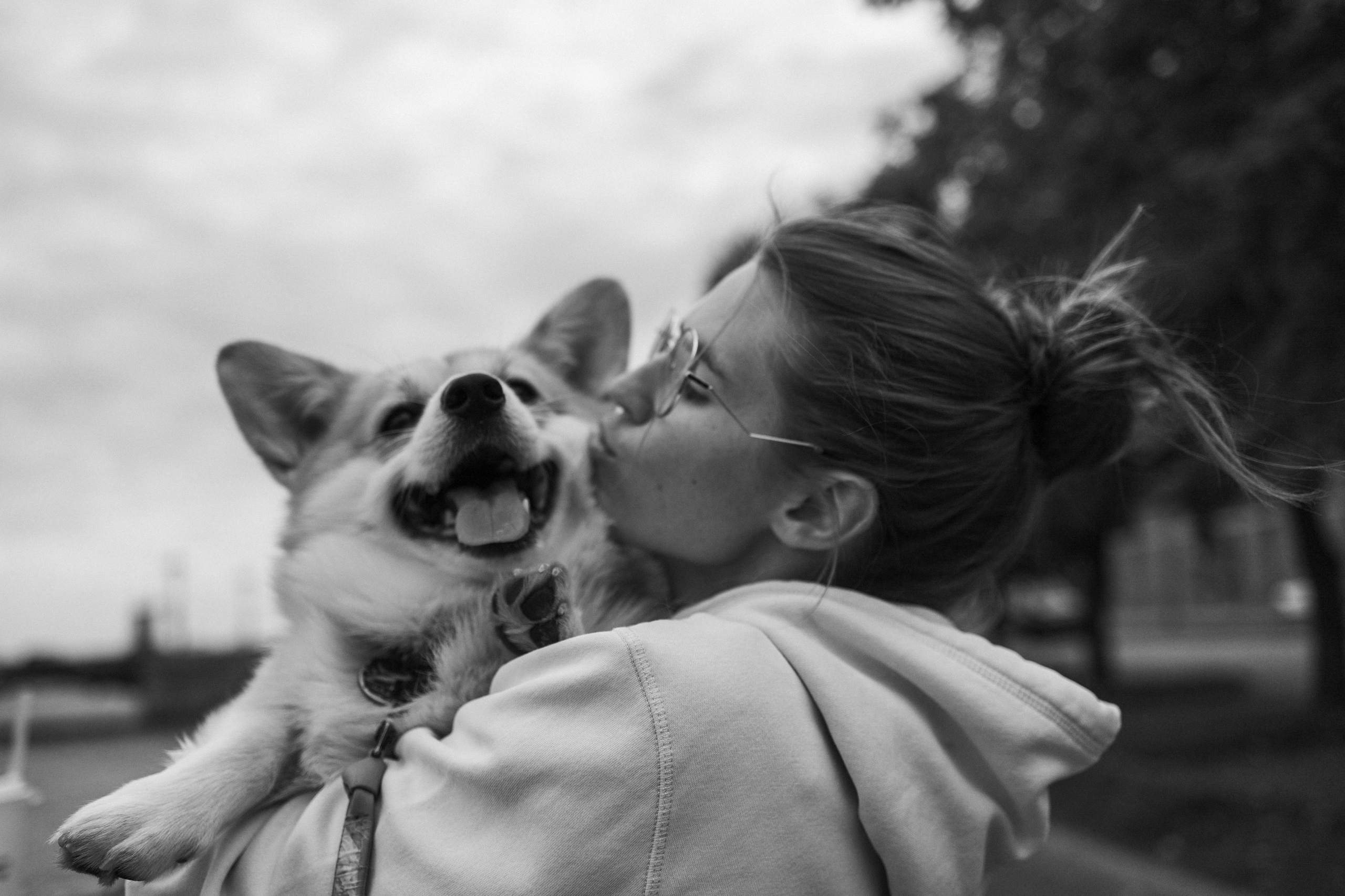 Лиза и Бакс. Фотограф — Анималист | Санкт-Петербург