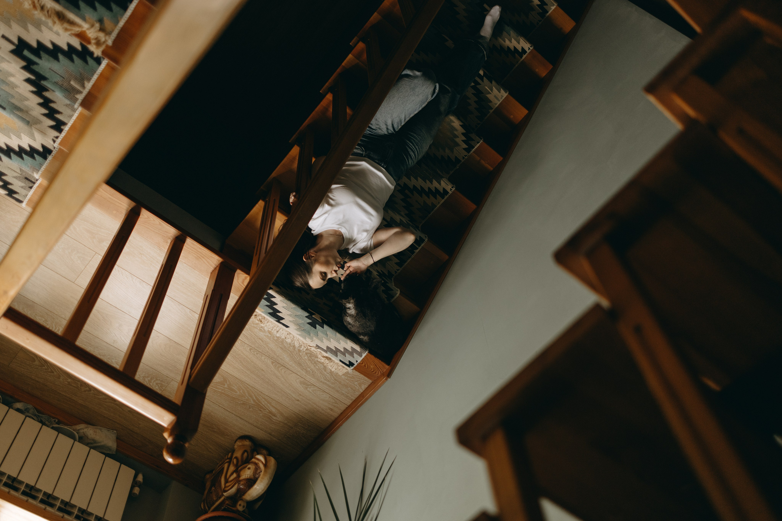 Софа и ее хвостики. Фотограф — Анималист | Санкт-Петербург