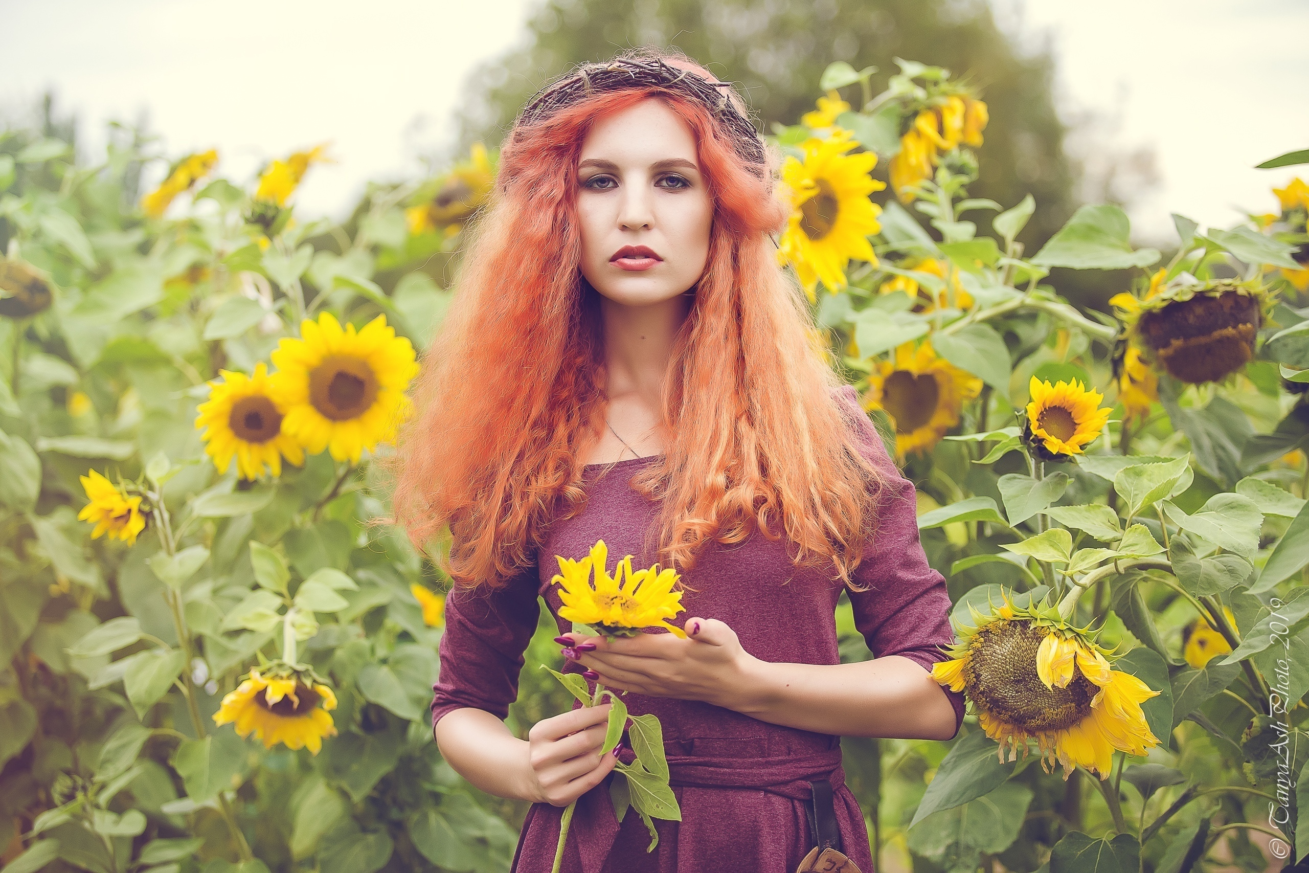 Фотосессия в подсолнухах рыжей девушки
