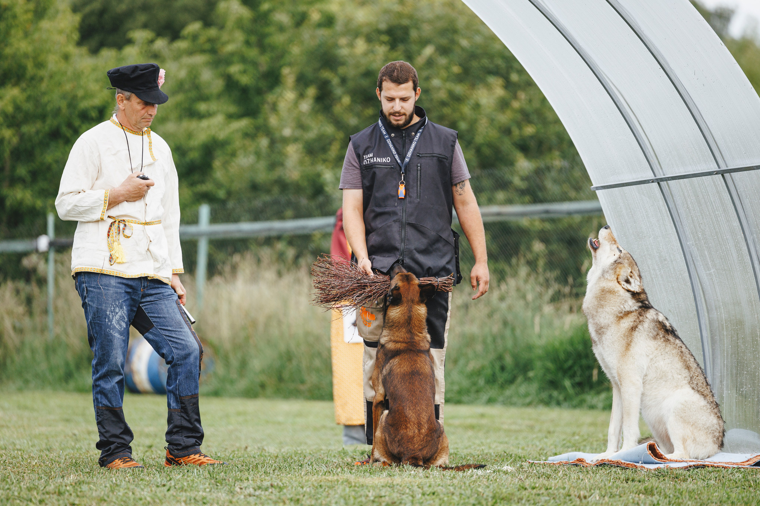 08.08.25-10.08.25 ЧР по мондьорингу г. Вологда. Фотограф-анималист Анна Маринич