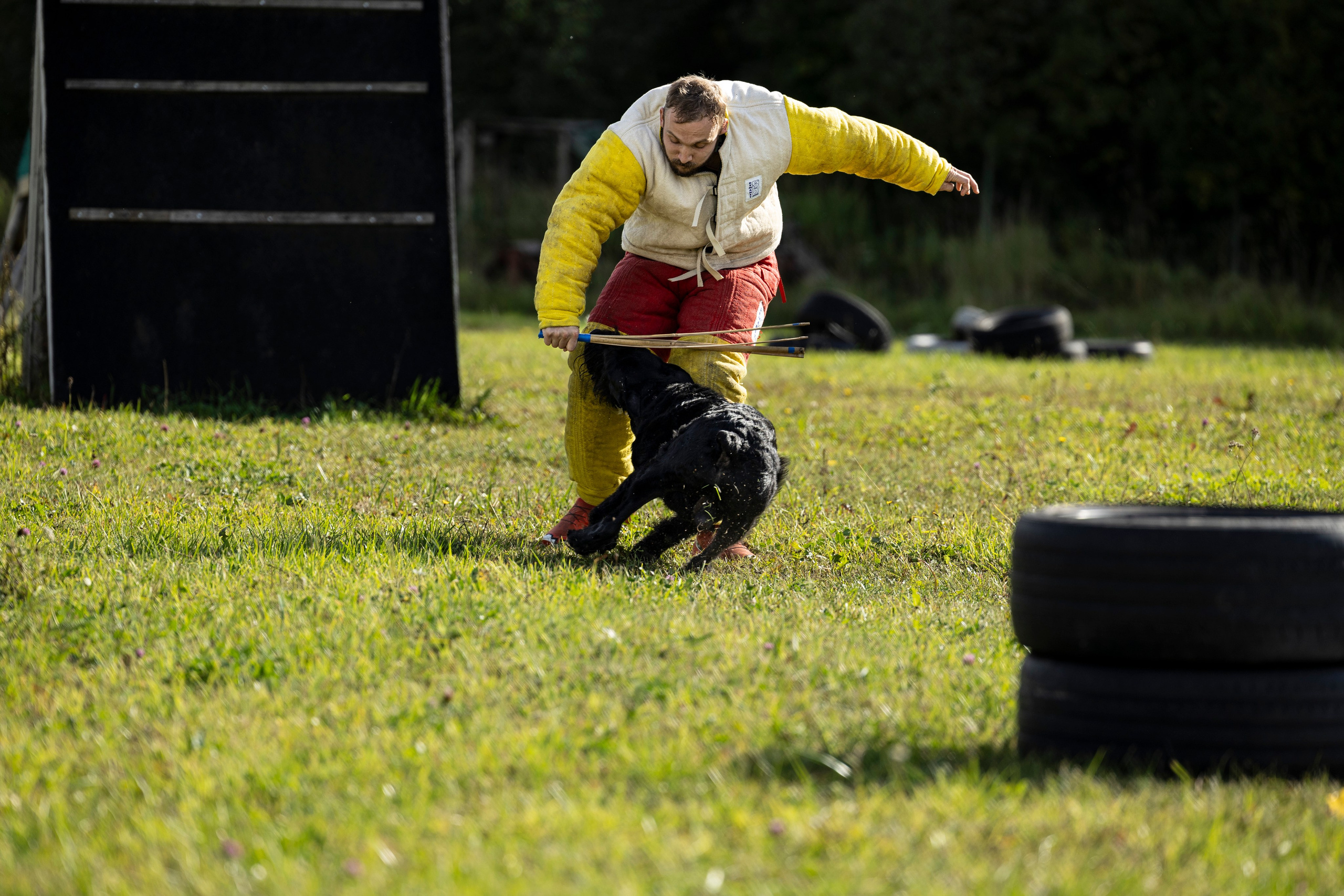 Испытания по Мондьорингу г. Пушкин. Фотограф-анималист Анна Маринич