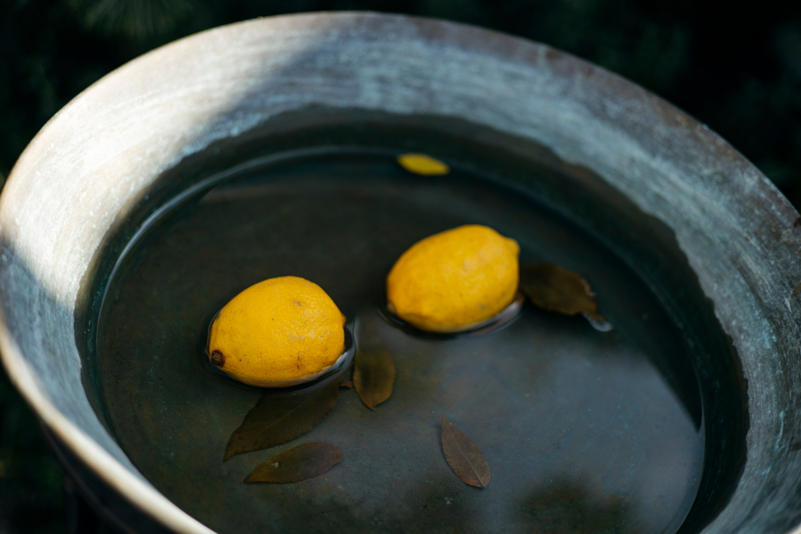 Роман и Ксения. Nikolpinhasova