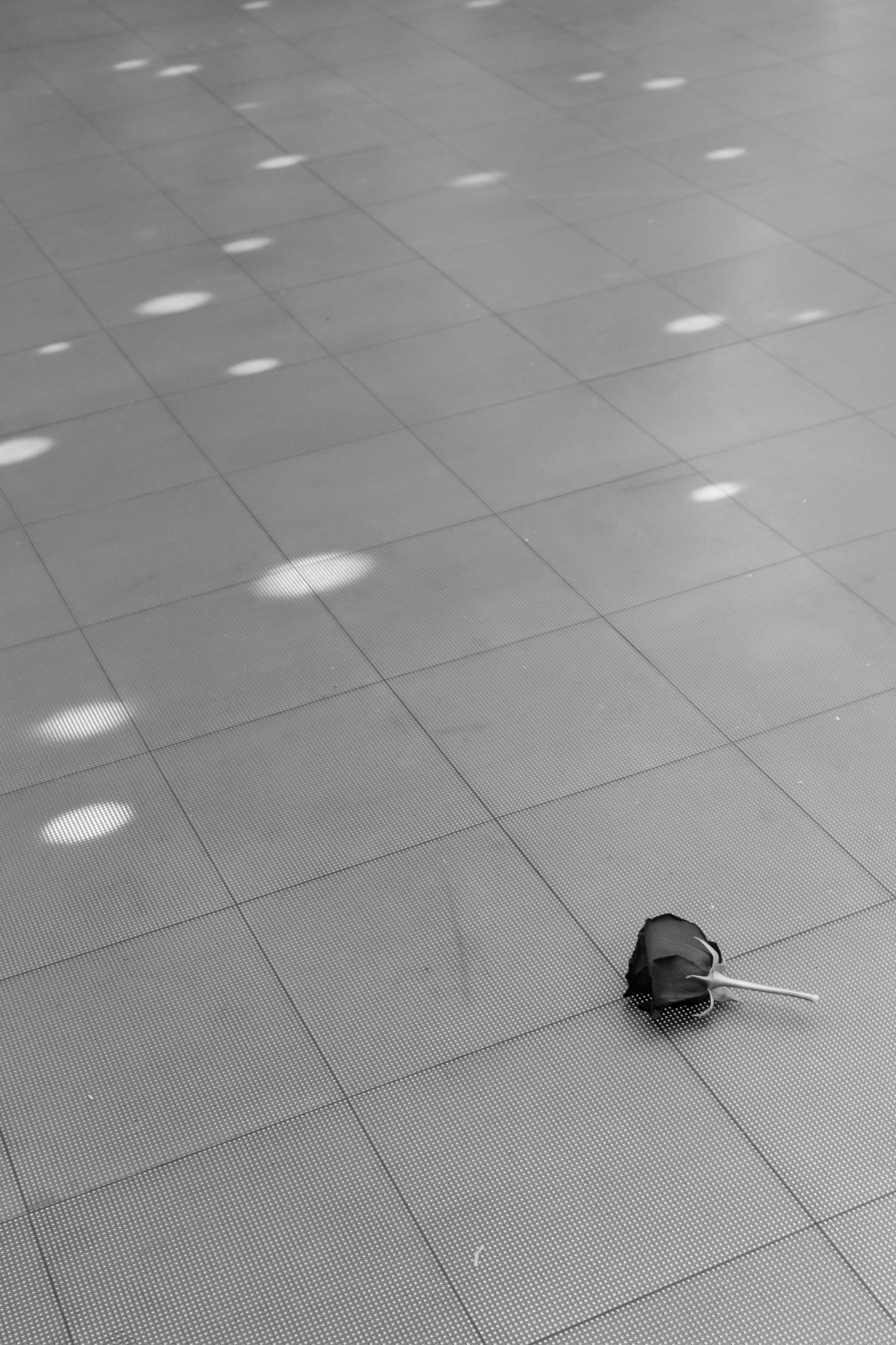 Uzatu Venera. Baikulov