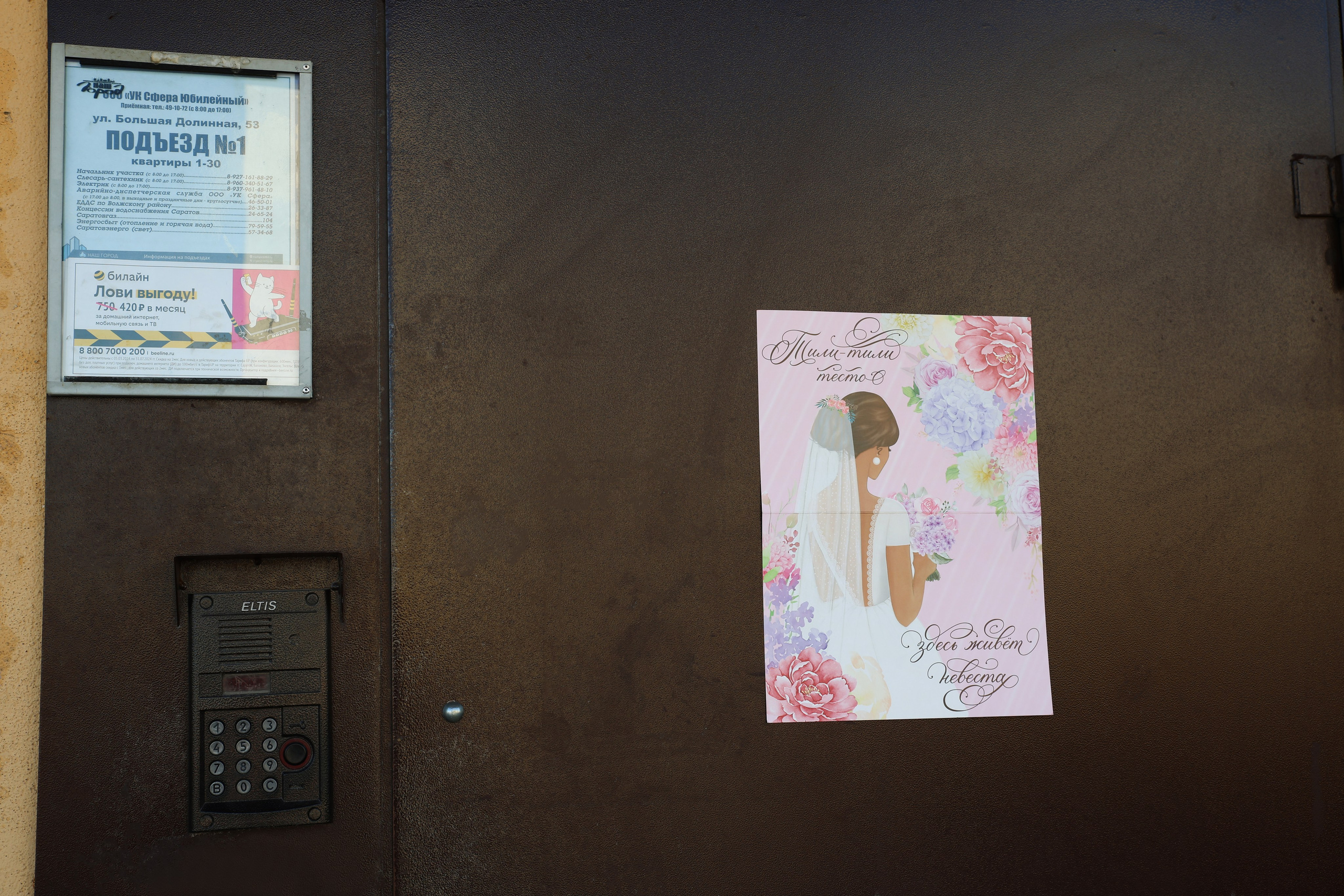 Дмитрий и Виолетта. Свадебный фотограф в Саратове