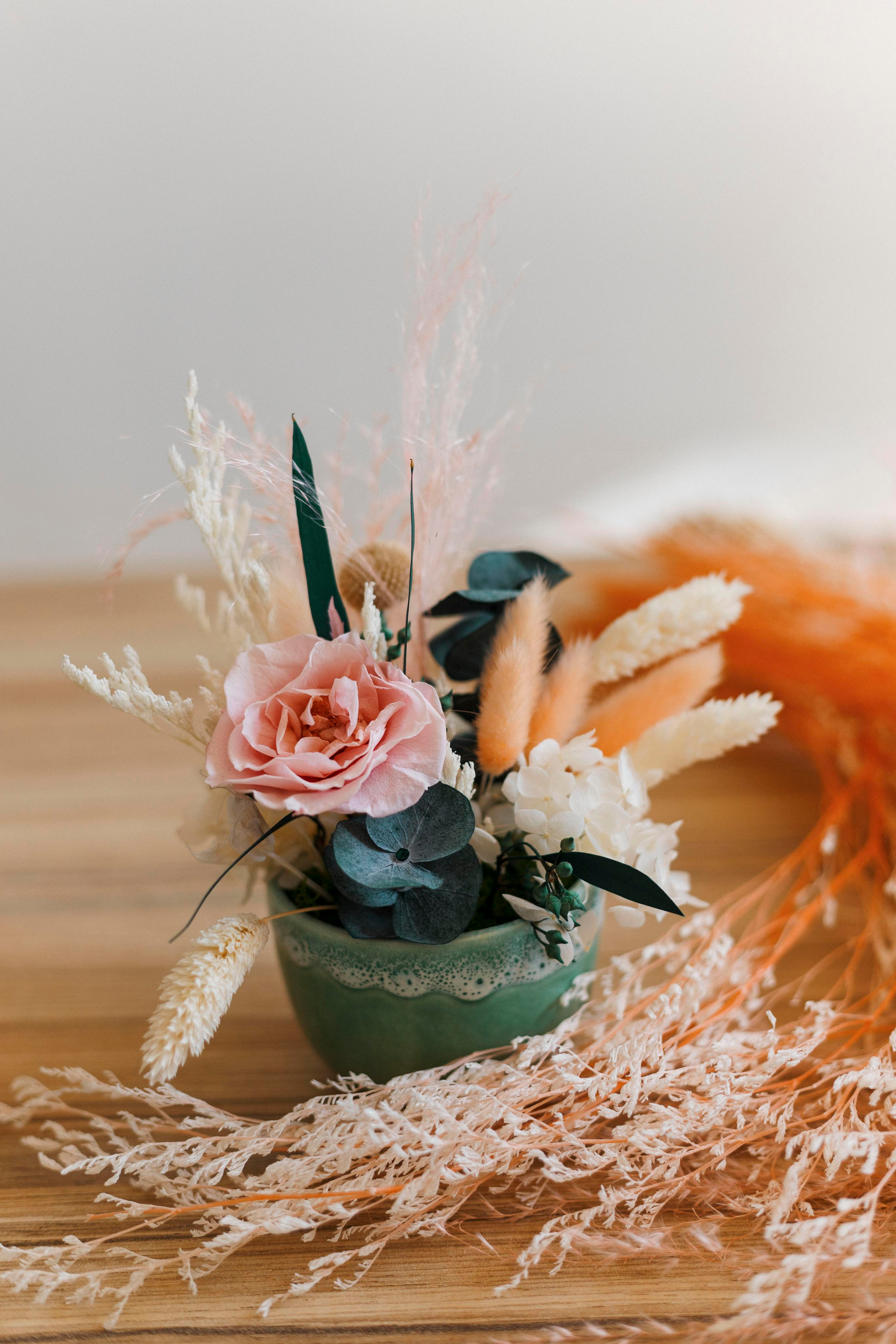 Flowers. Photographer in Montenegro Tatiana Talaeva