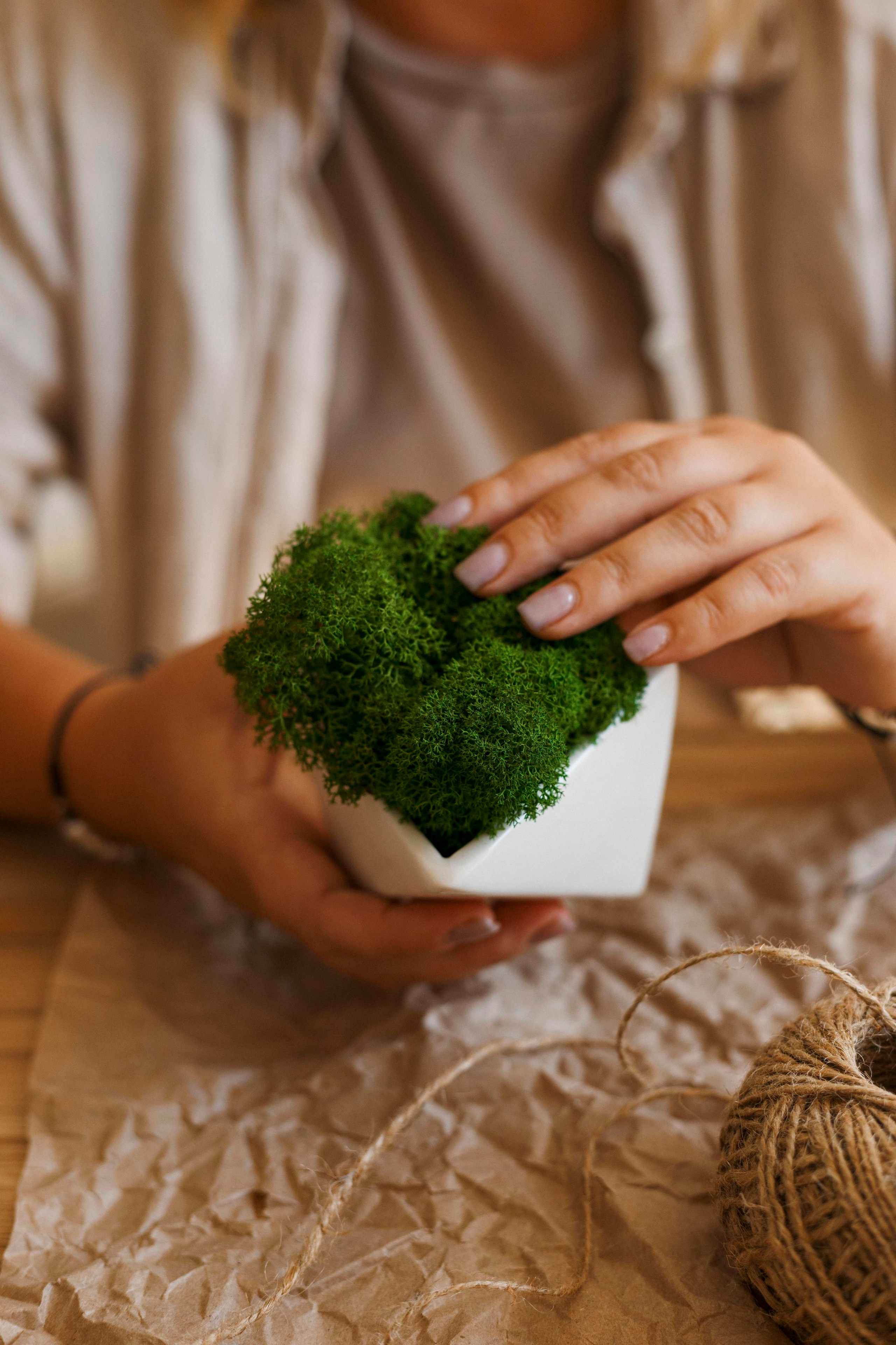 Flowers. Photographer in Montenegro Tatiana Talaeva