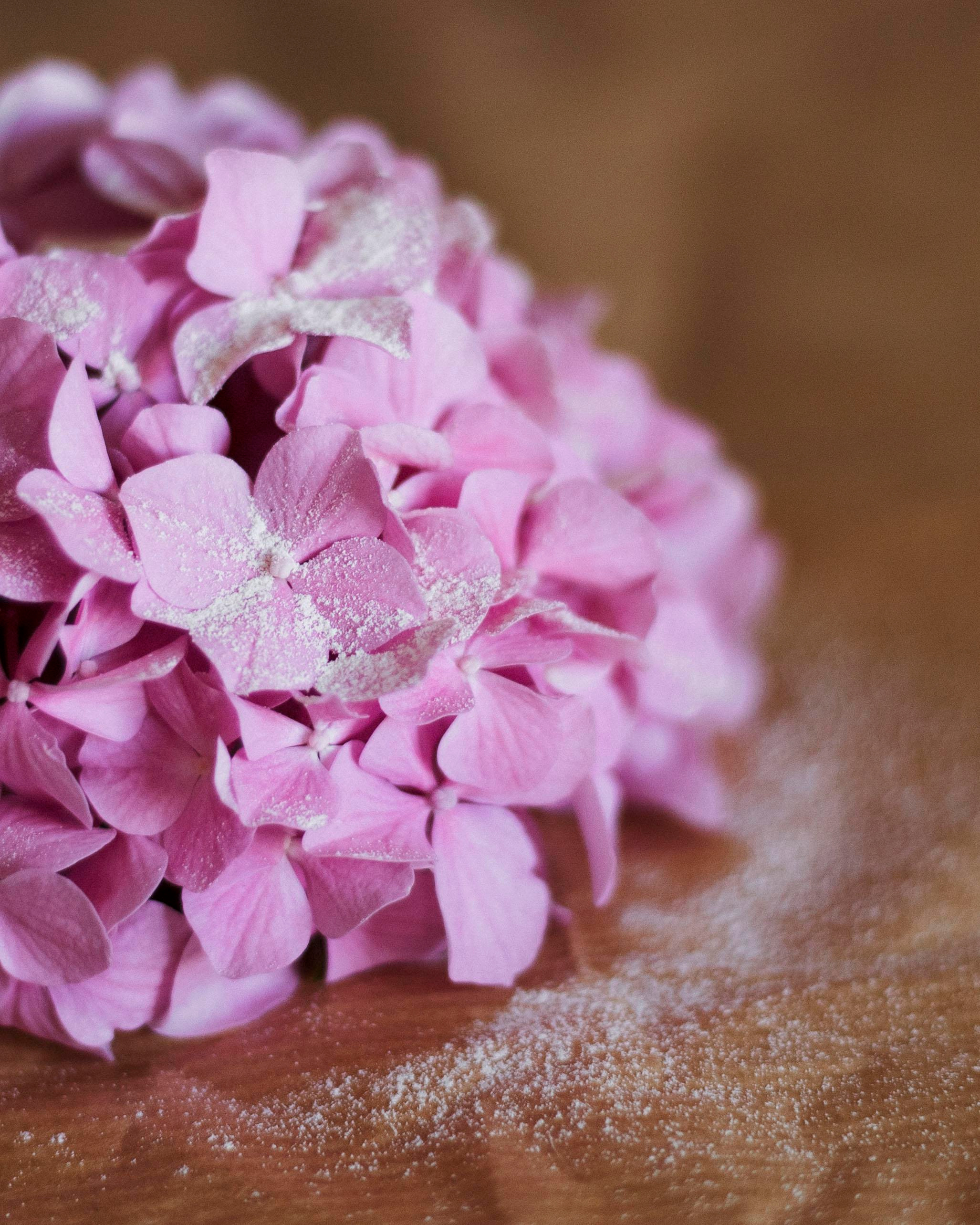 Cakes. Photographer in Montenegro Tatiana Talaeva