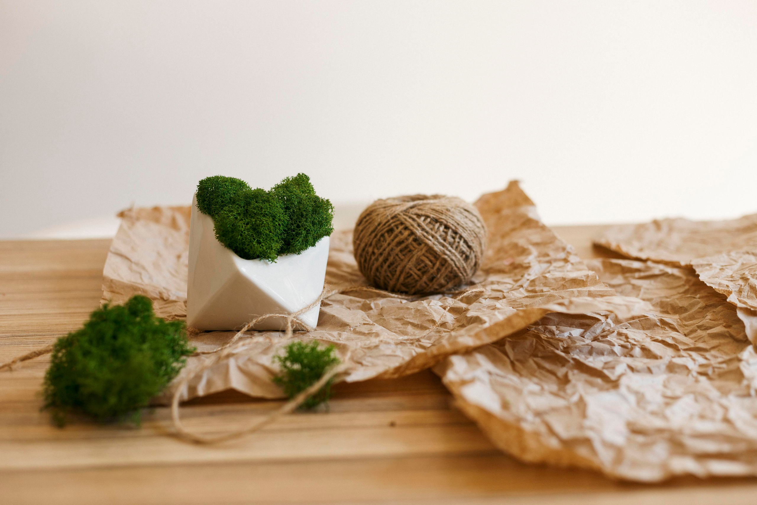 Flowers. Photographer in Montenegro Tatiana Talaeva