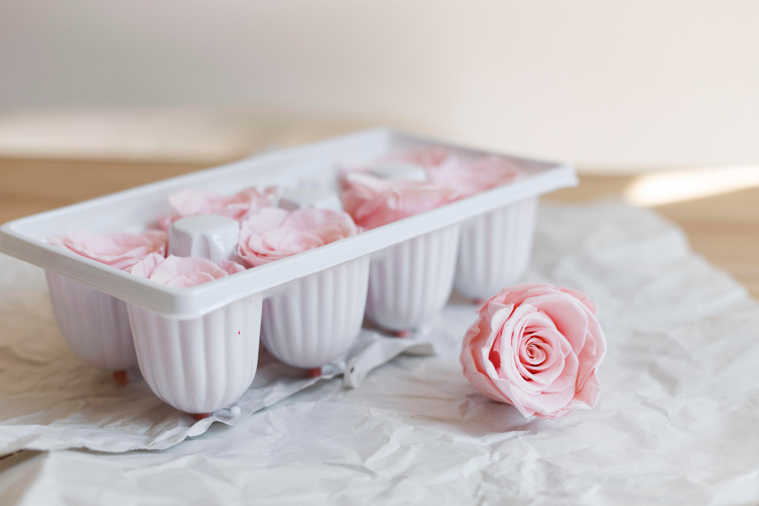 Flowers. Photographer in Montenegro Tatiana Talaeva