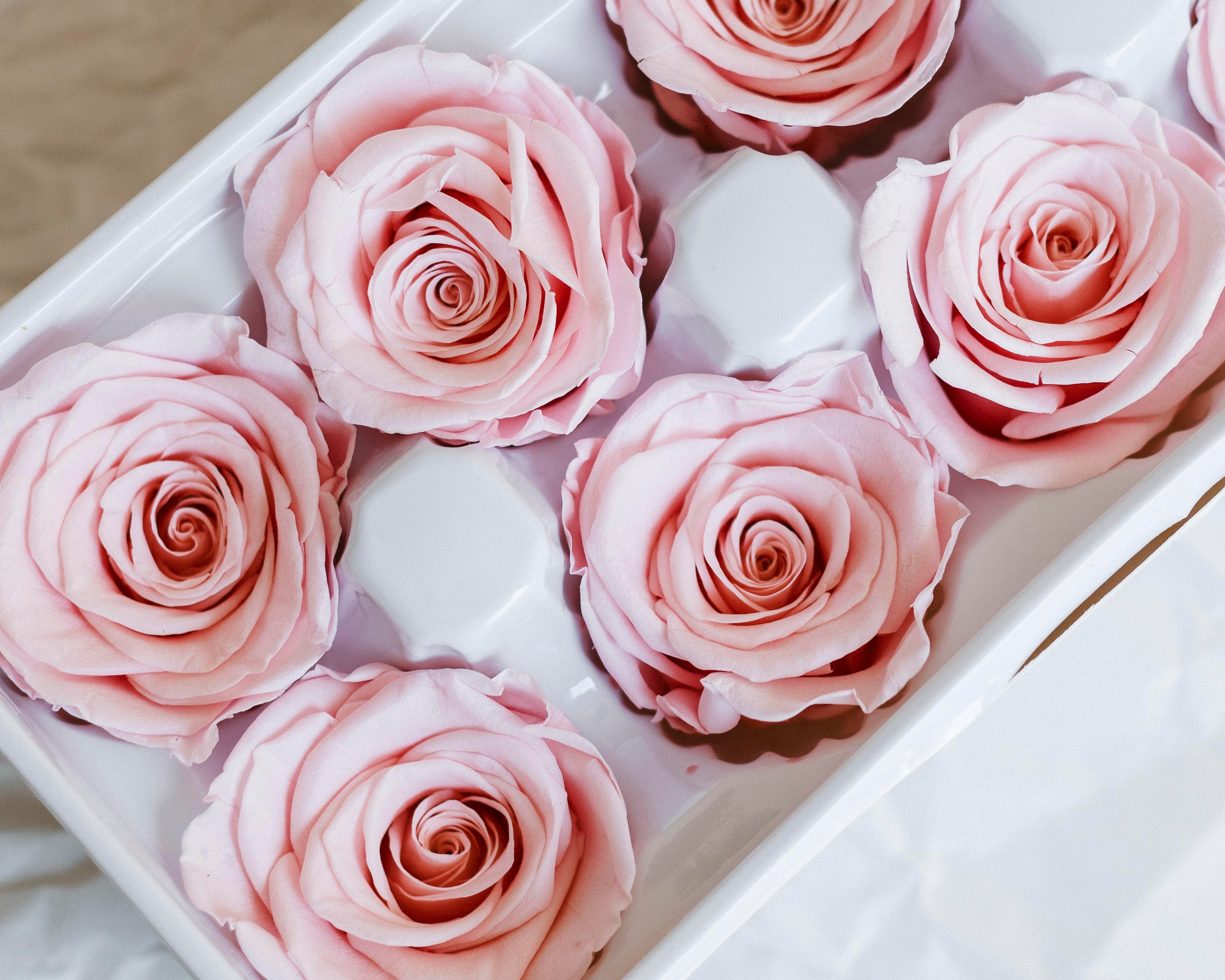 Flowers. Photographer in Montenegro Tatiana Talaeva