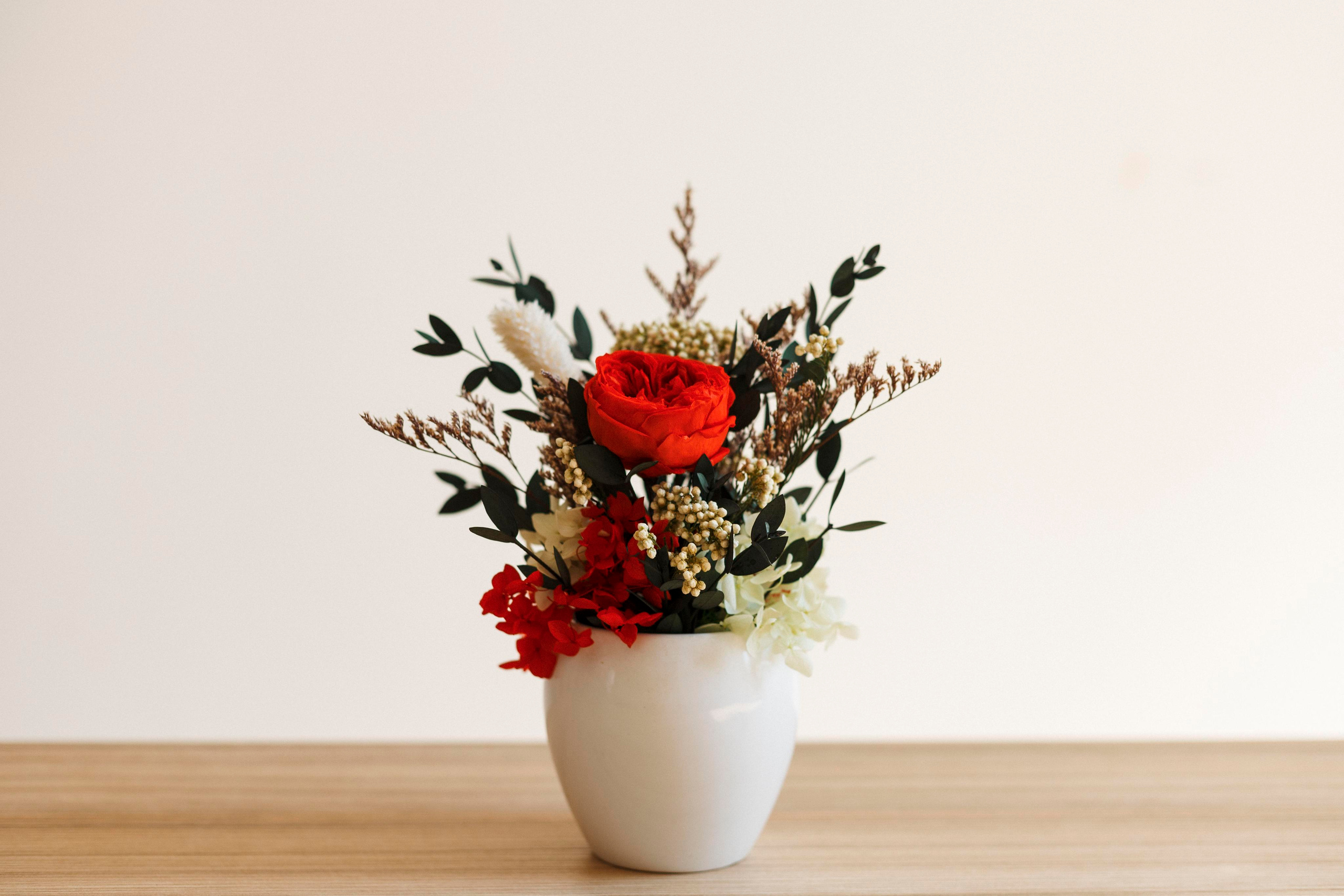 Flowers. Photographer in Montenegro Tatiana Talaeva