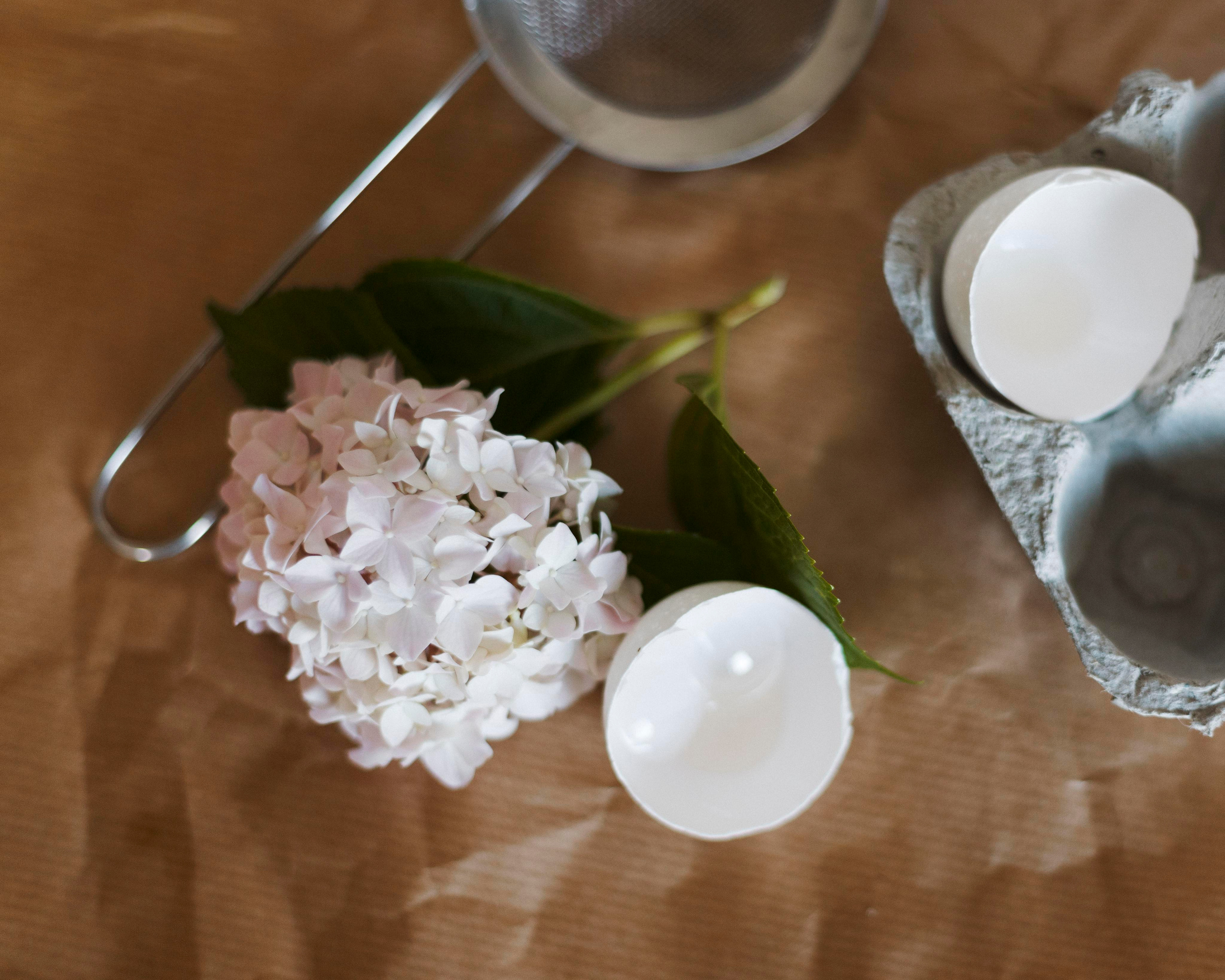 Cakes. Photographer in Montenegro Tatiana Talaeva