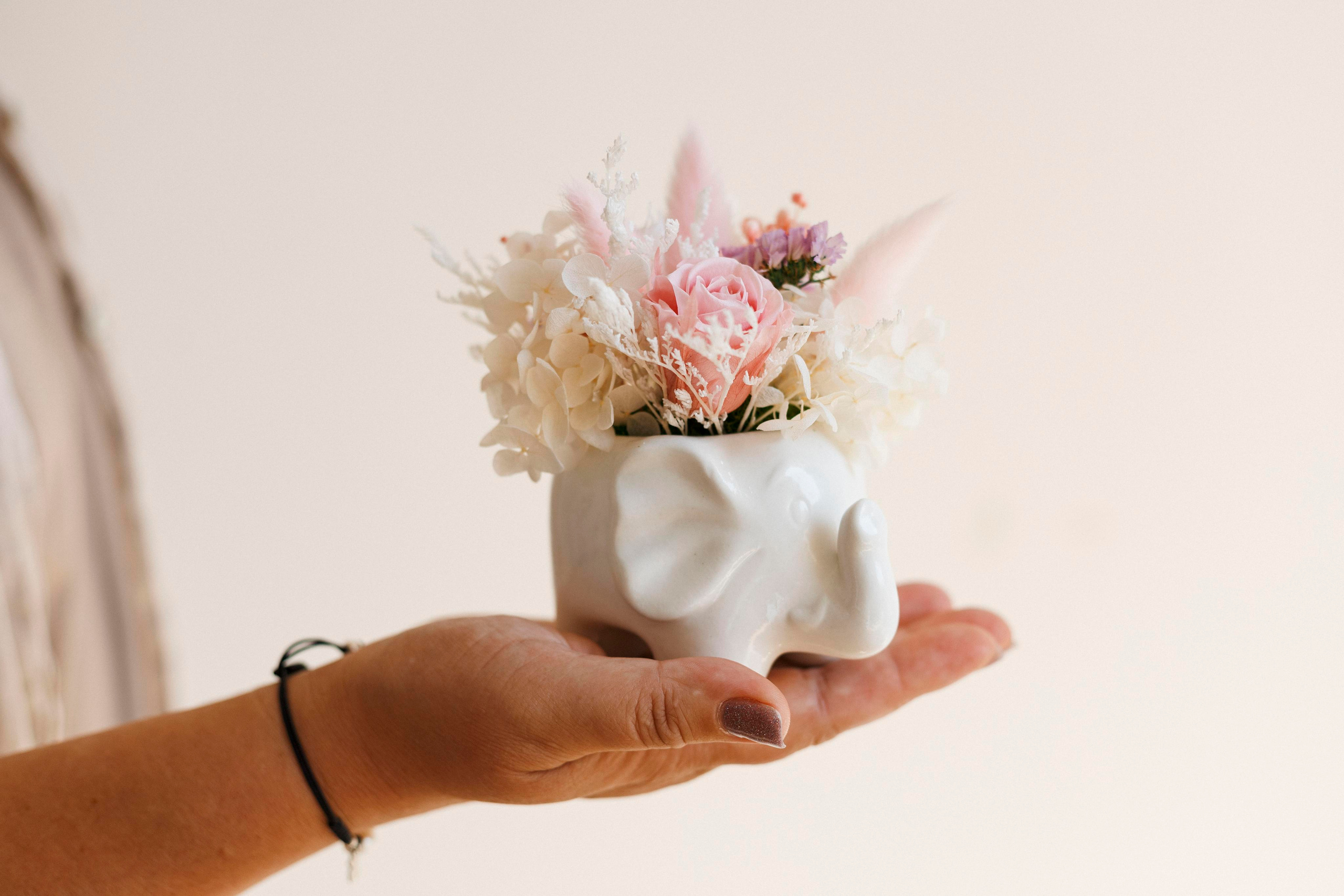 Flowers. Photographer in Montenegro Tatiana Talaeva