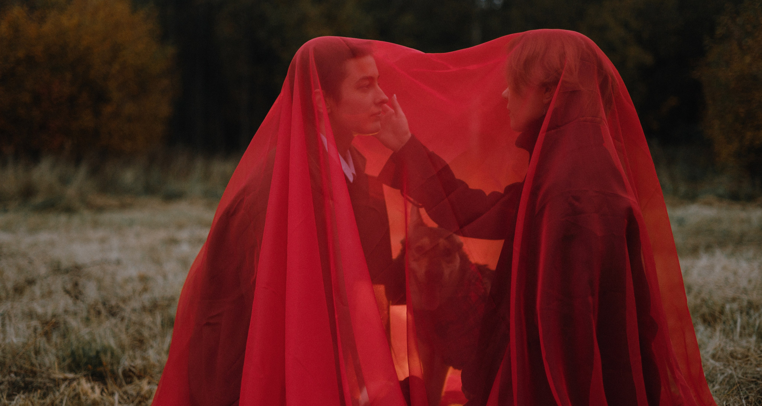 Маша, Катя, Астрид и Мася. Фотограф-анималист Богданова Полина