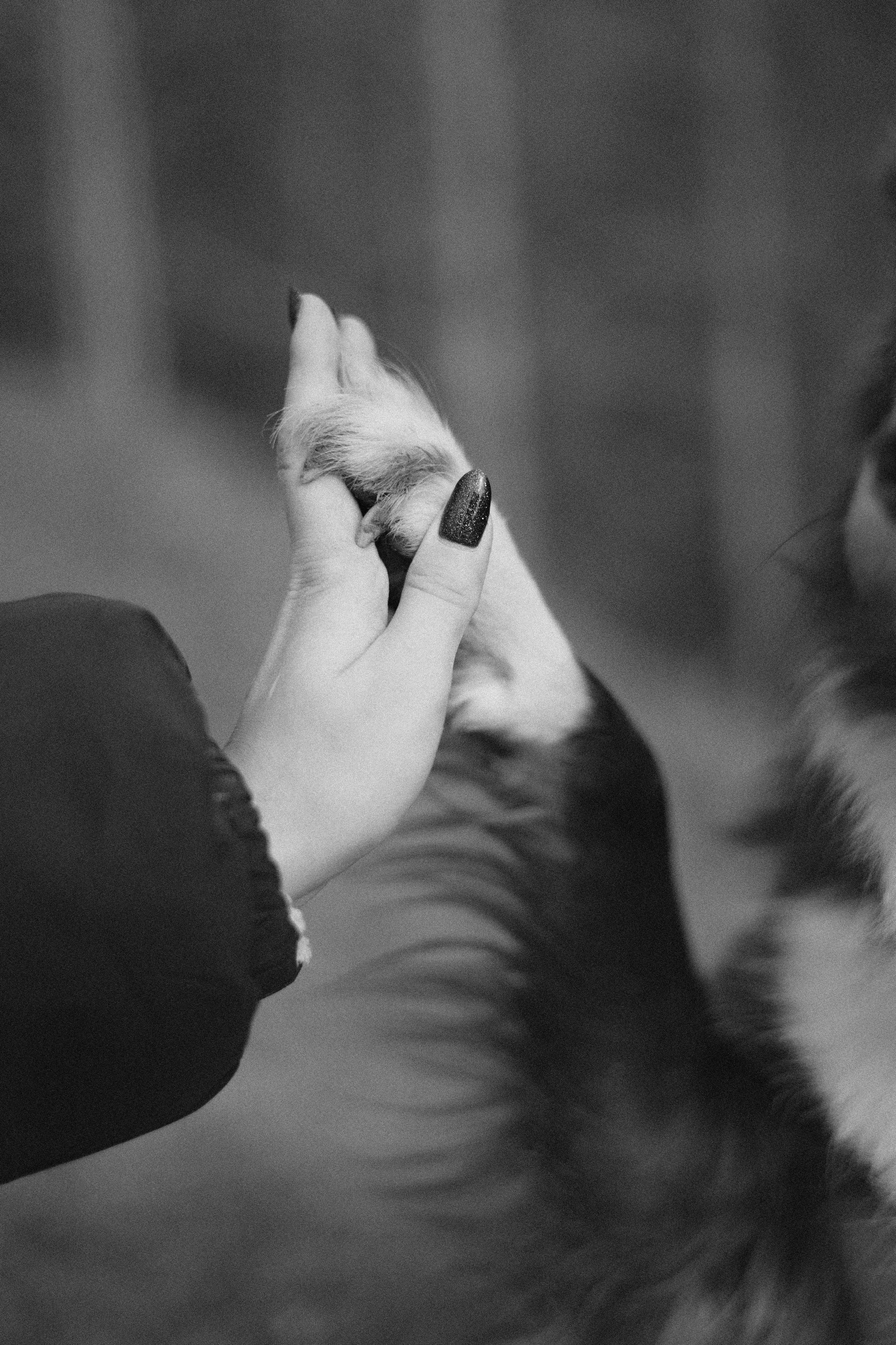 Даша и Дже. Фотограф-анималист Богданова Полина