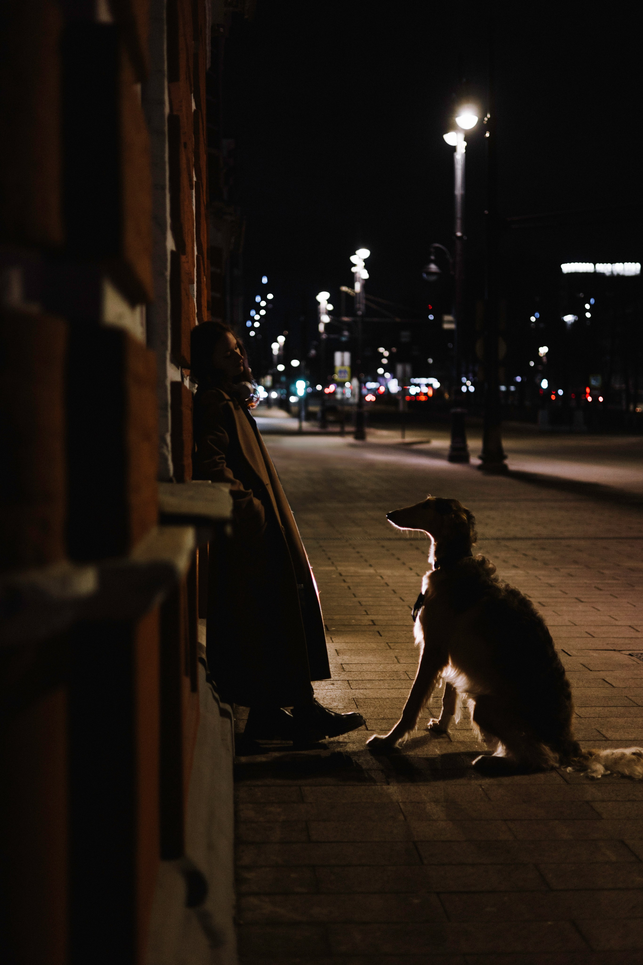 Алёна и Леви. Фотограф-анималист Богданова Полина