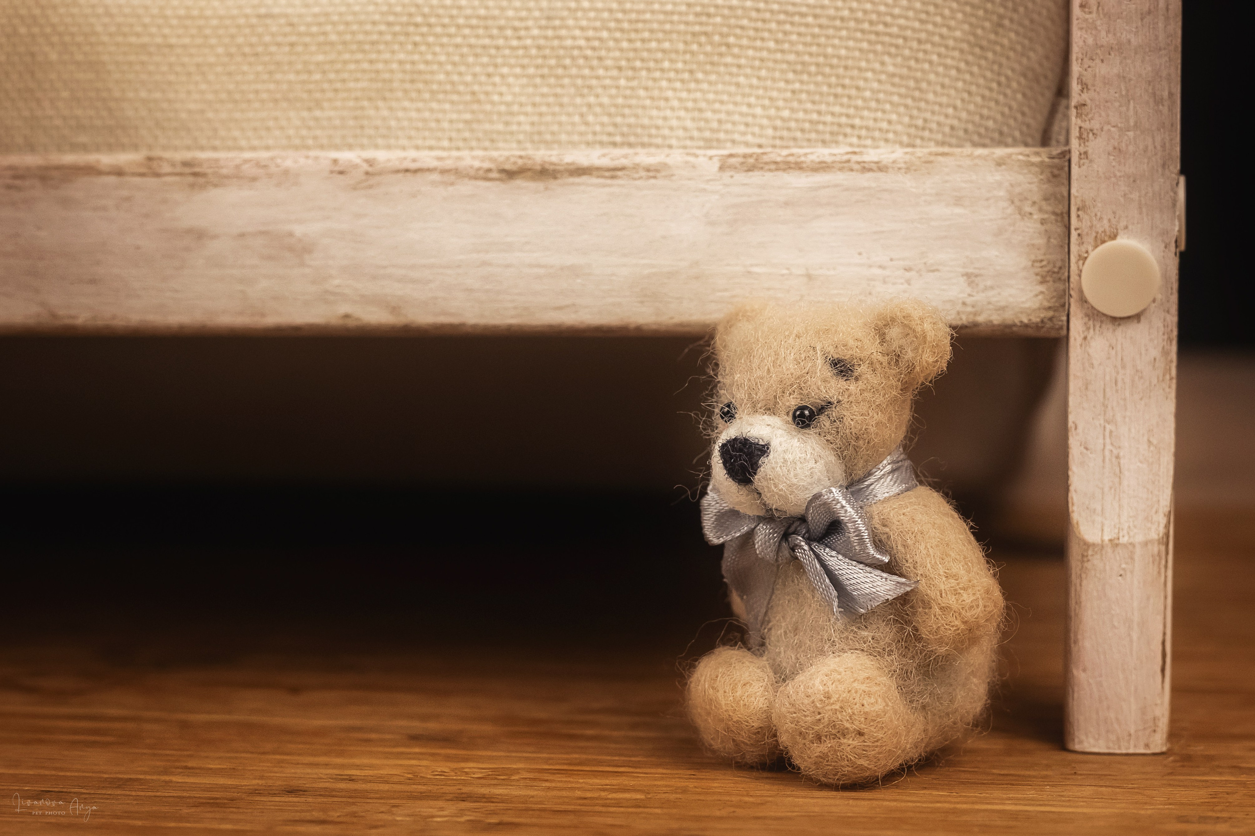 Басеньки. Фотограф анималист Аня Ливанова | Рыбинск