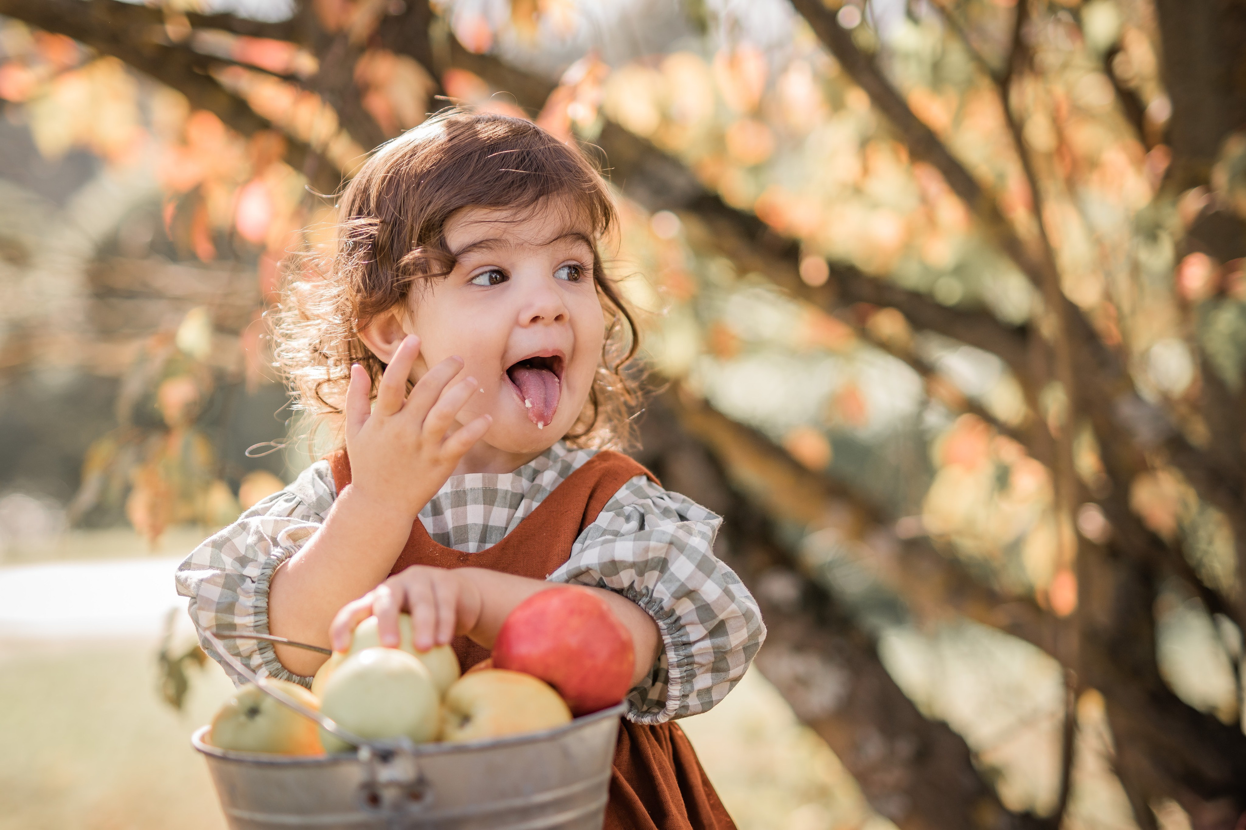 Яблоки. Семейный фотограф Ефремова Виктория