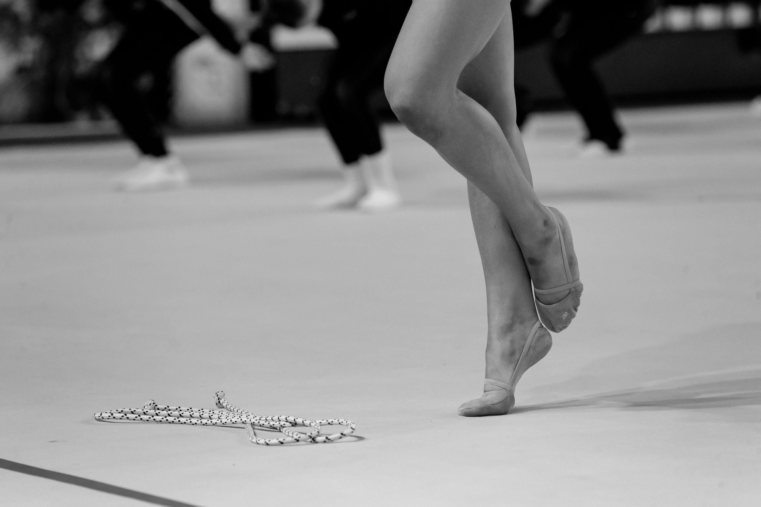 Кубок России по эстетической гимнастике 2025. Москва. Спортивный фотограф Александр Васильев. RG и AGG