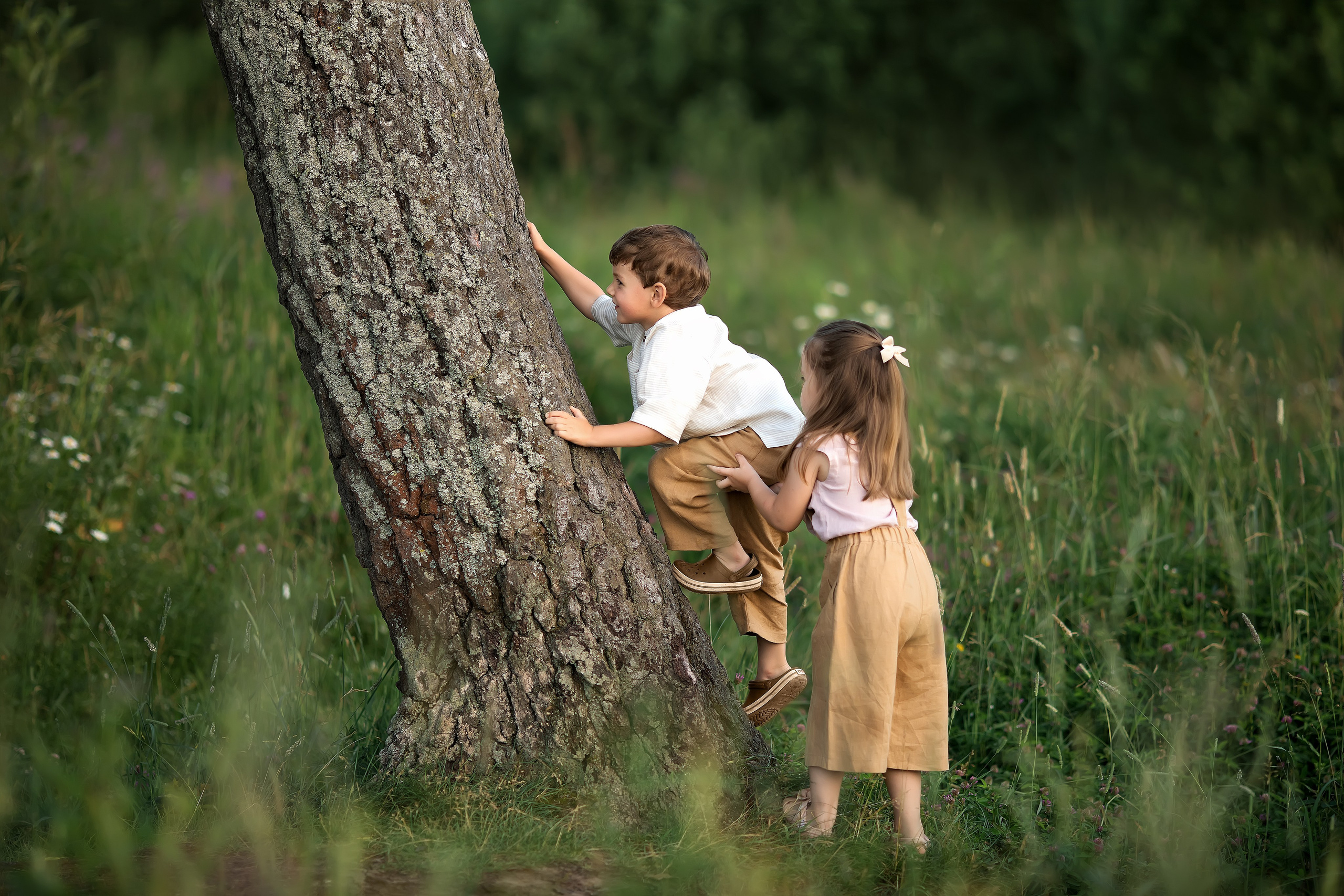 Лето. Главная