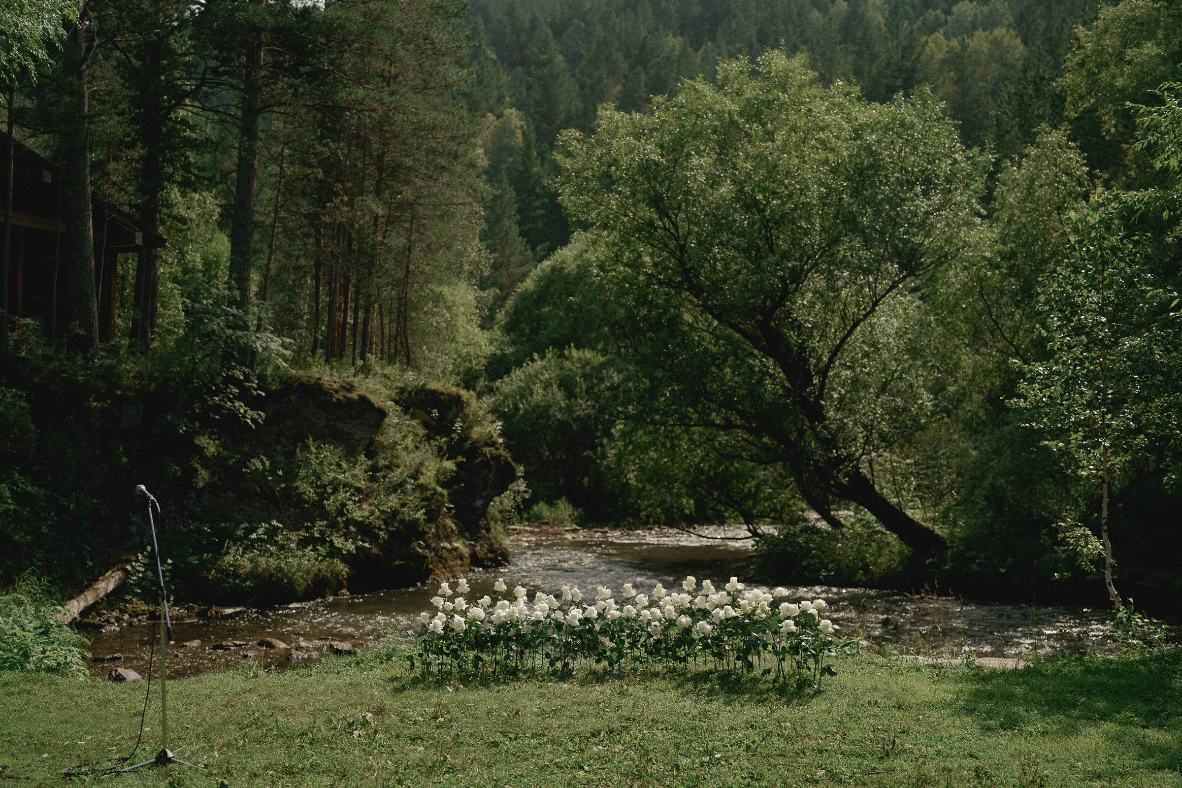 АНАСТАСИЯ И ТИМОФЕЙ. Свадебный и семейный фотограф в Абакане Василевский Алексей