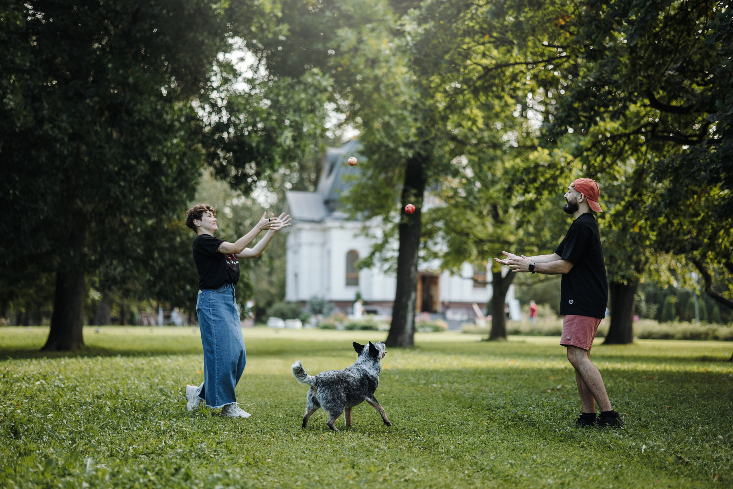 Кода и ее семья. Фотограф — Анималист | Санкт-Петербург