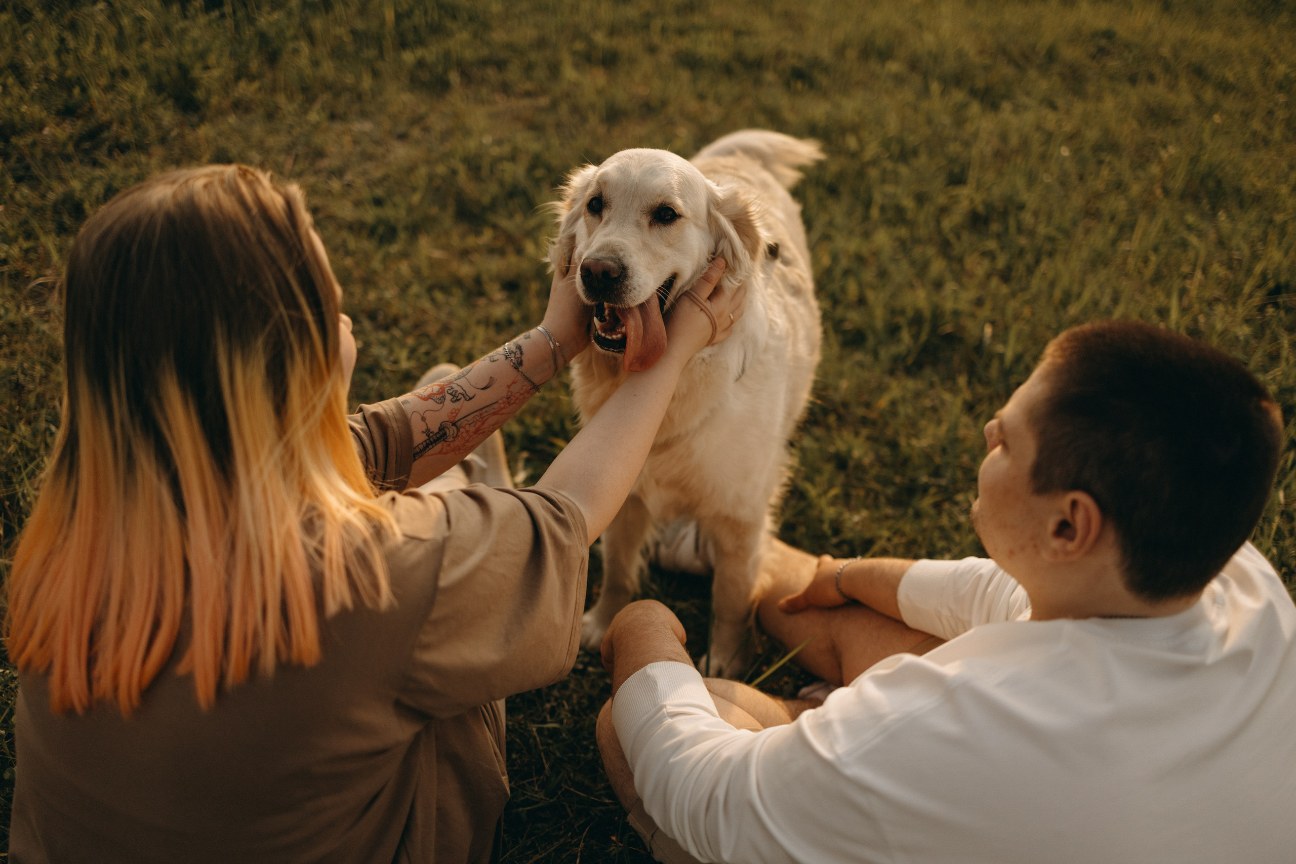 Милка и ребята. Фотограф — Анималист | Санкт-Петербург
