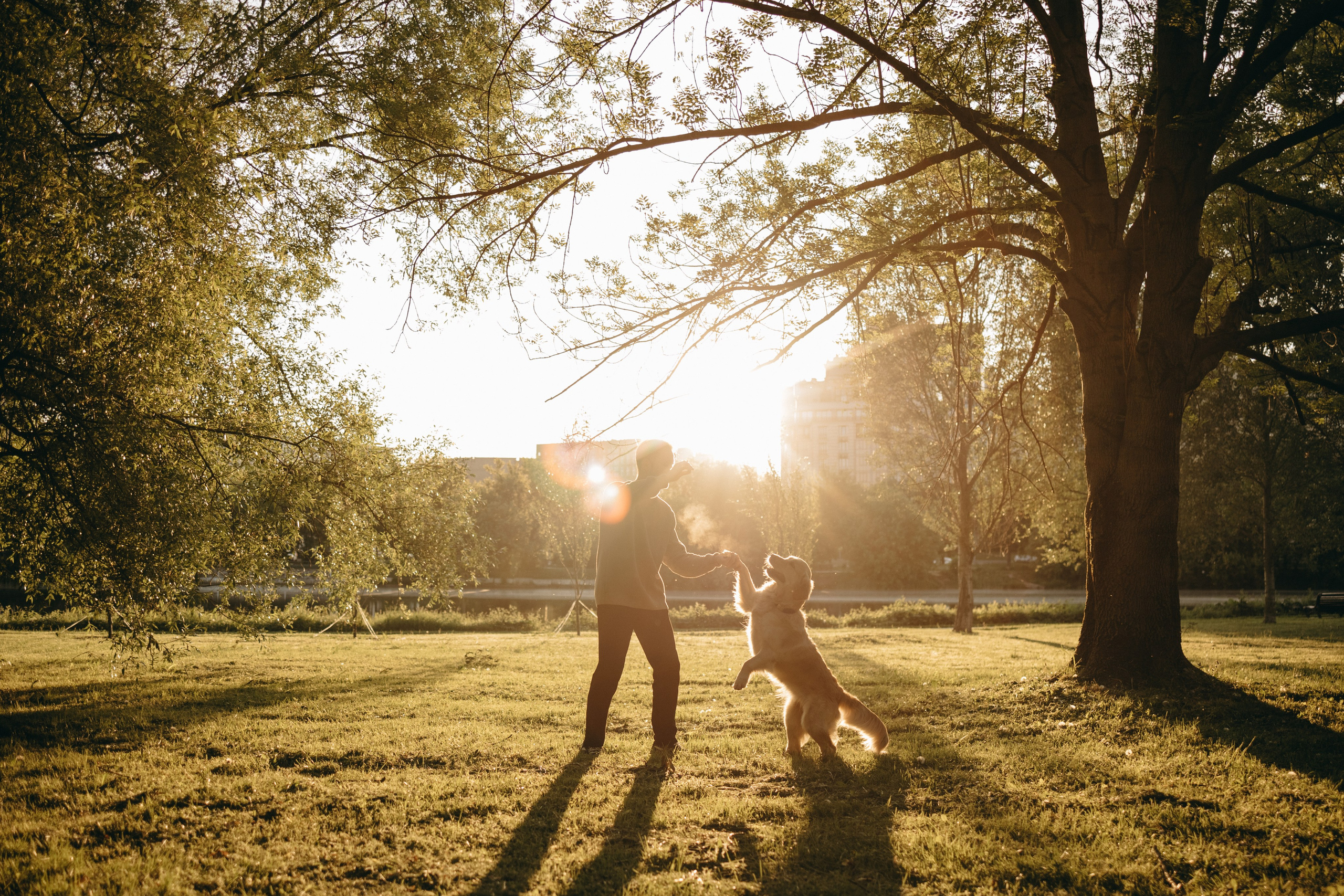 Пенни и ребята. Фотограф — Анималист | Санкт-Петербург