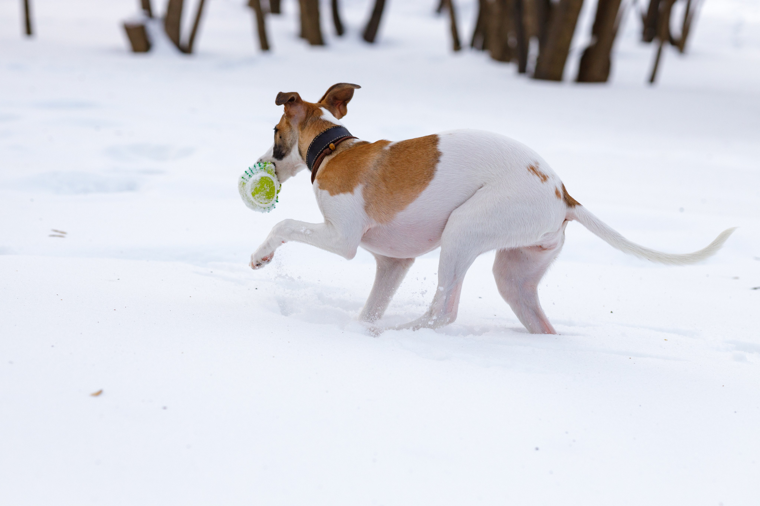 Ланди. Анна Самохина. Фотограф. Москва