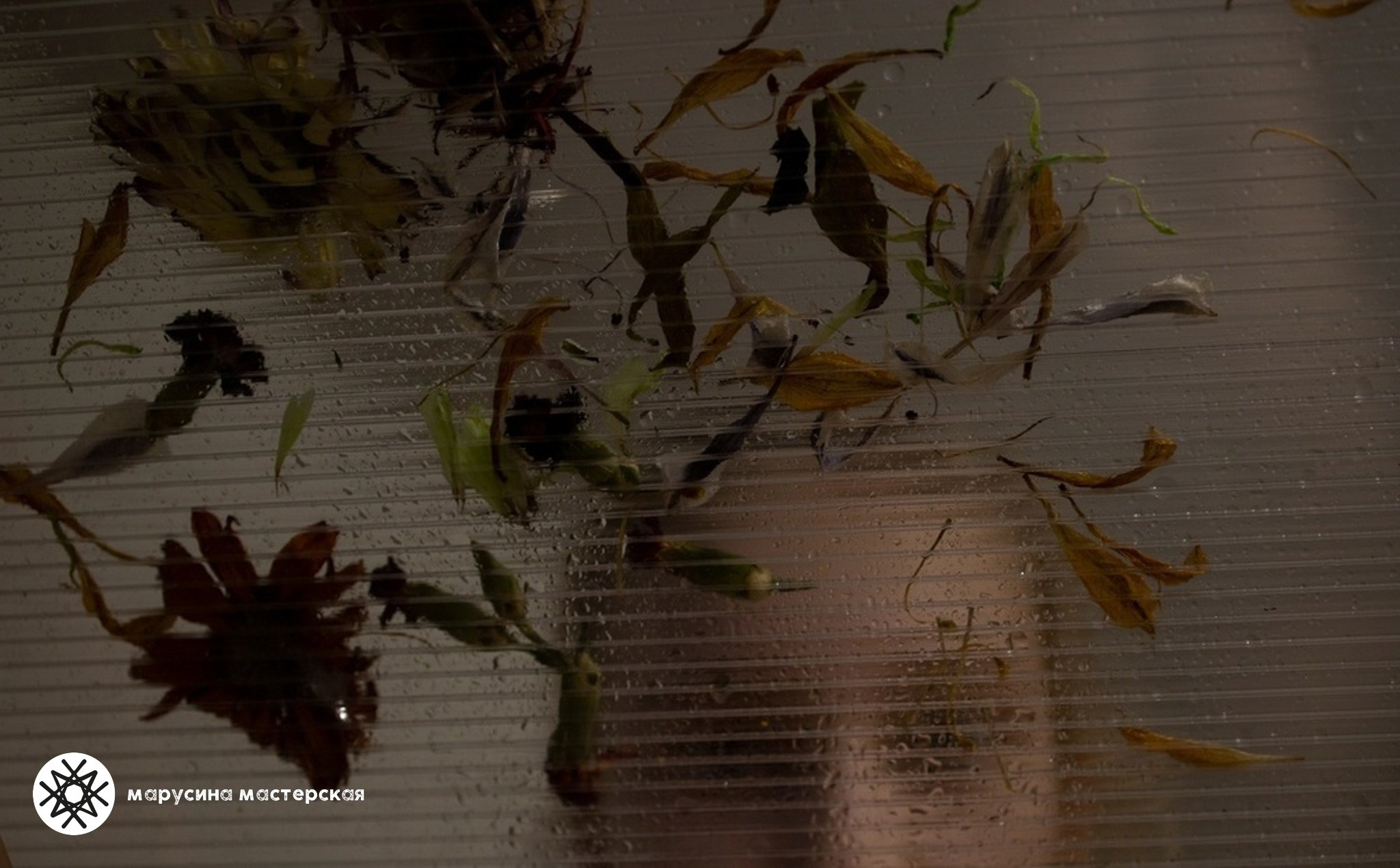 Творческая фотография, снятая в рамках зимней творческой практики, автор — Ольга Верижникова