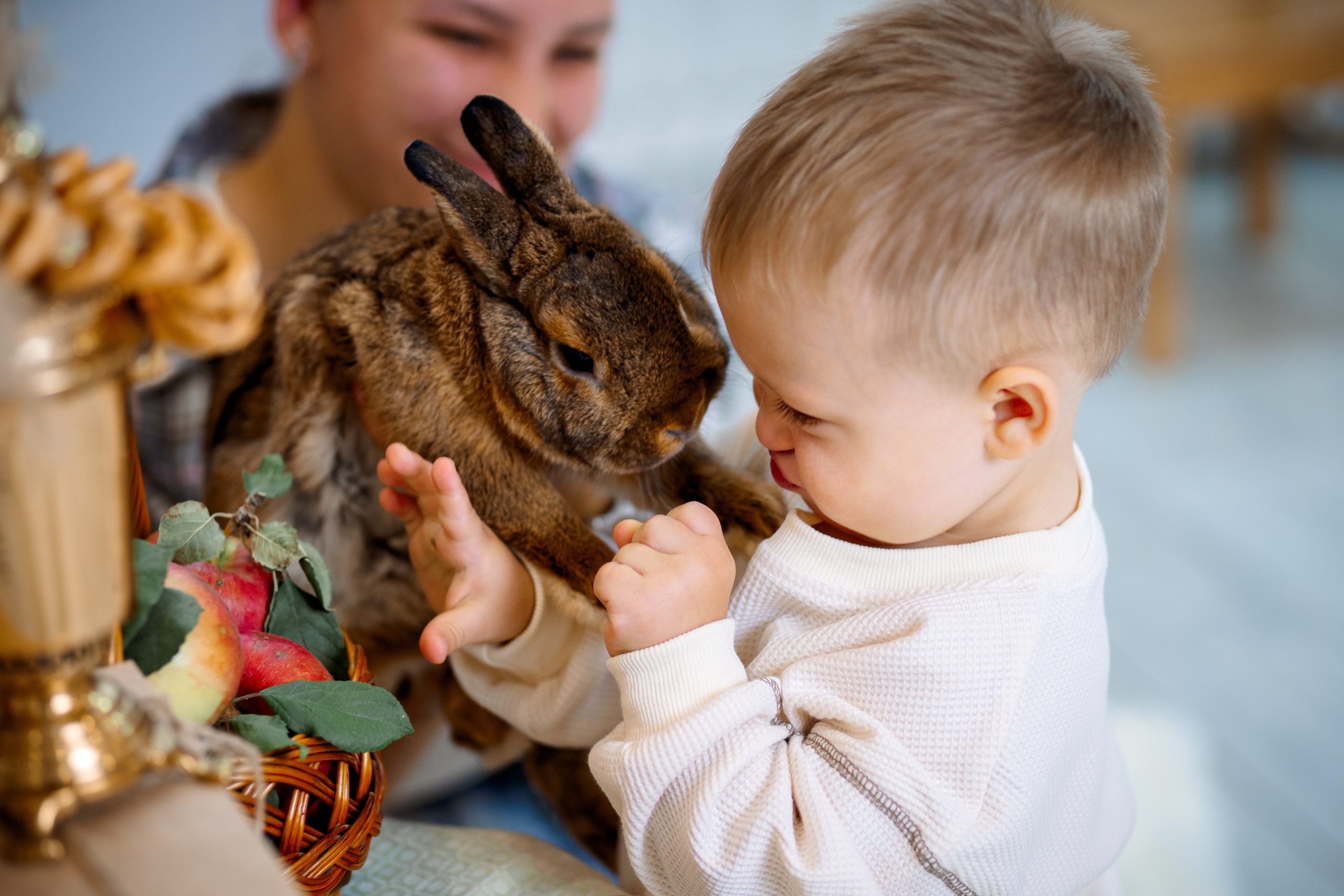 Кролик. Фотограф Казакова Анастасия