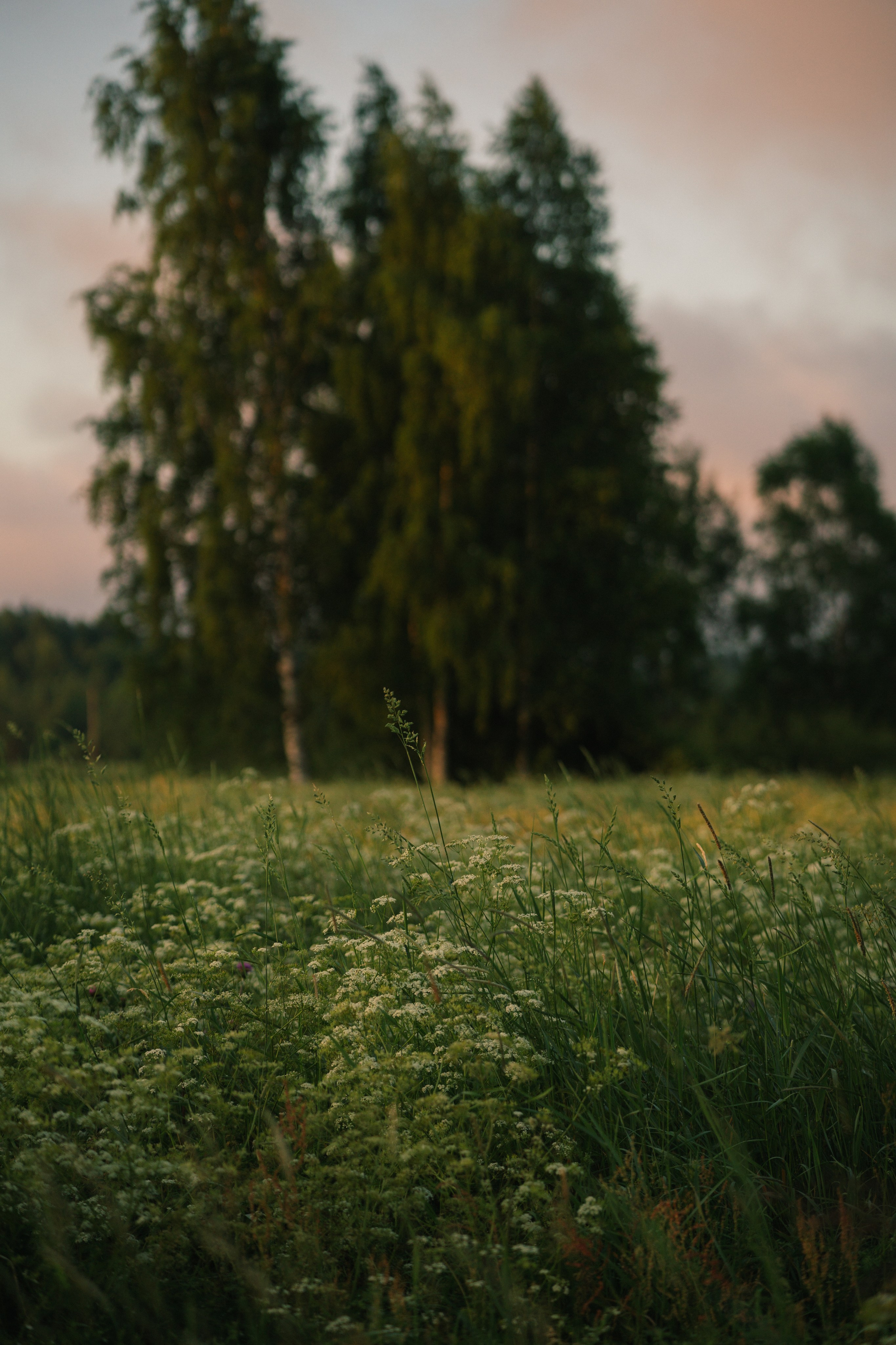 Санкт-Петербург. Фотограф Екатерина Катунова | Москва