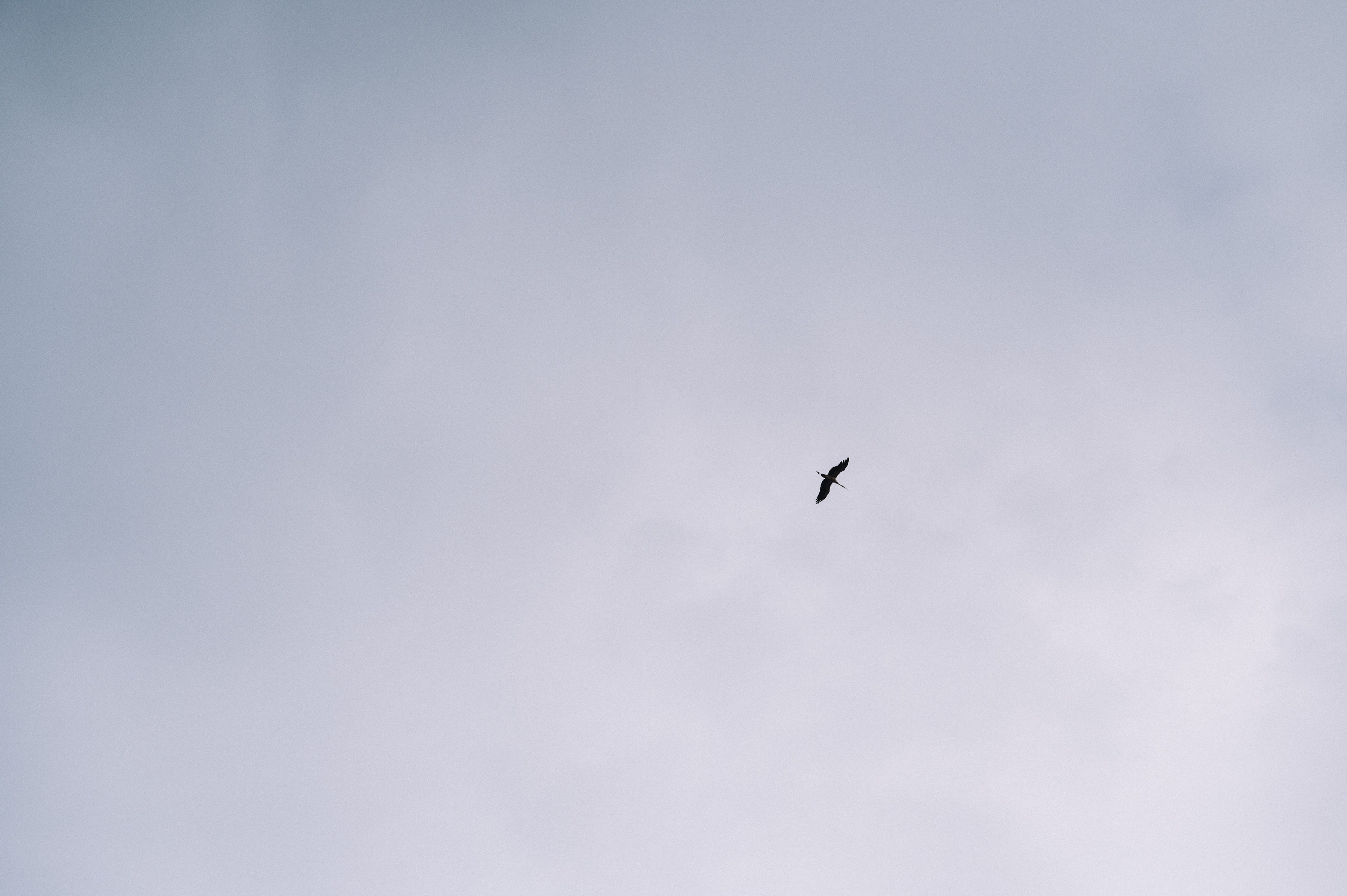 Слава и Даша. Профессиональный фотограф Алексей Васенцев. Минск, СПБ, Москва