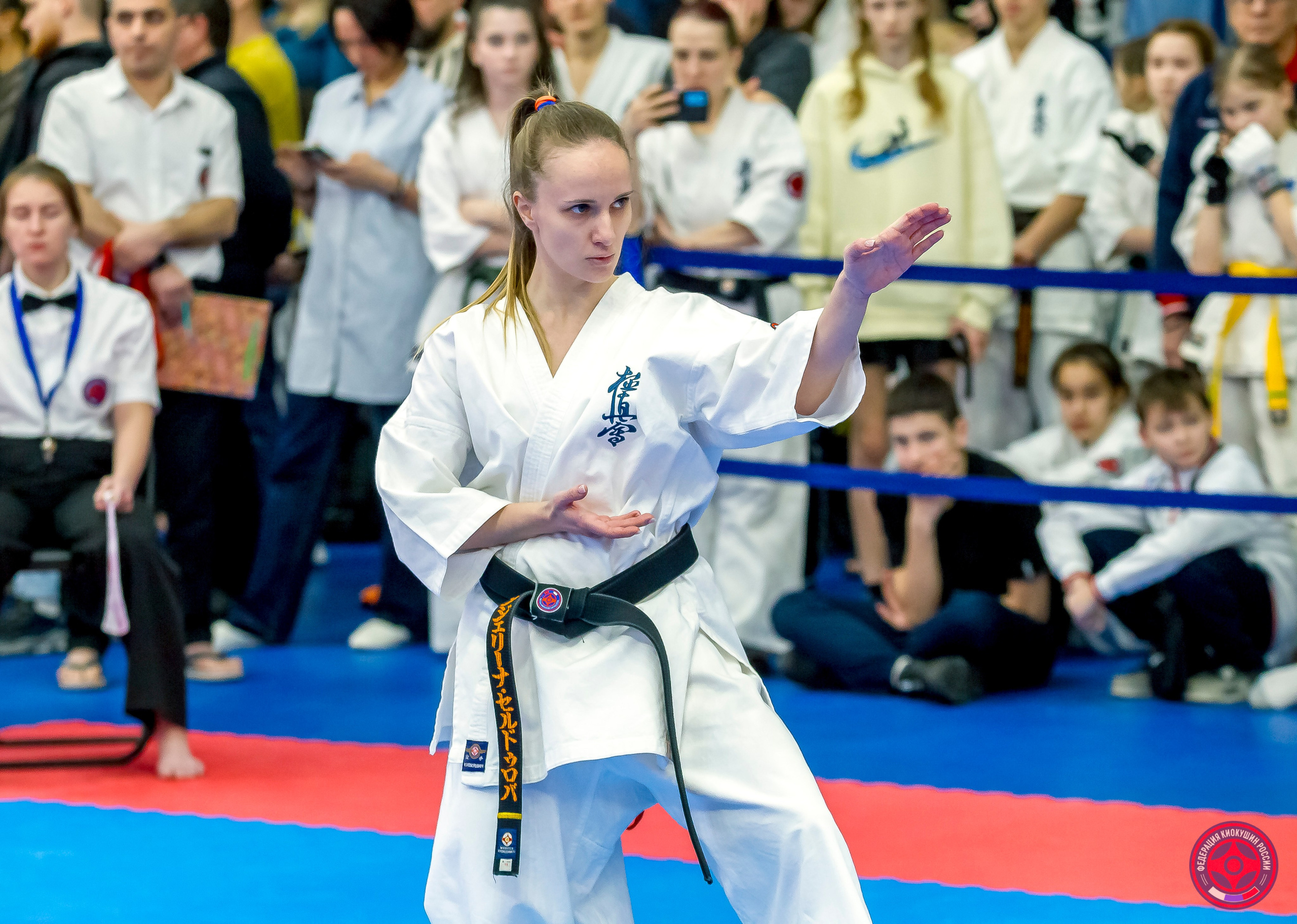 Международный турнир по киокушин «Открытый кубок Seiken». Репортажная съемка в Москве и области. Анималистика