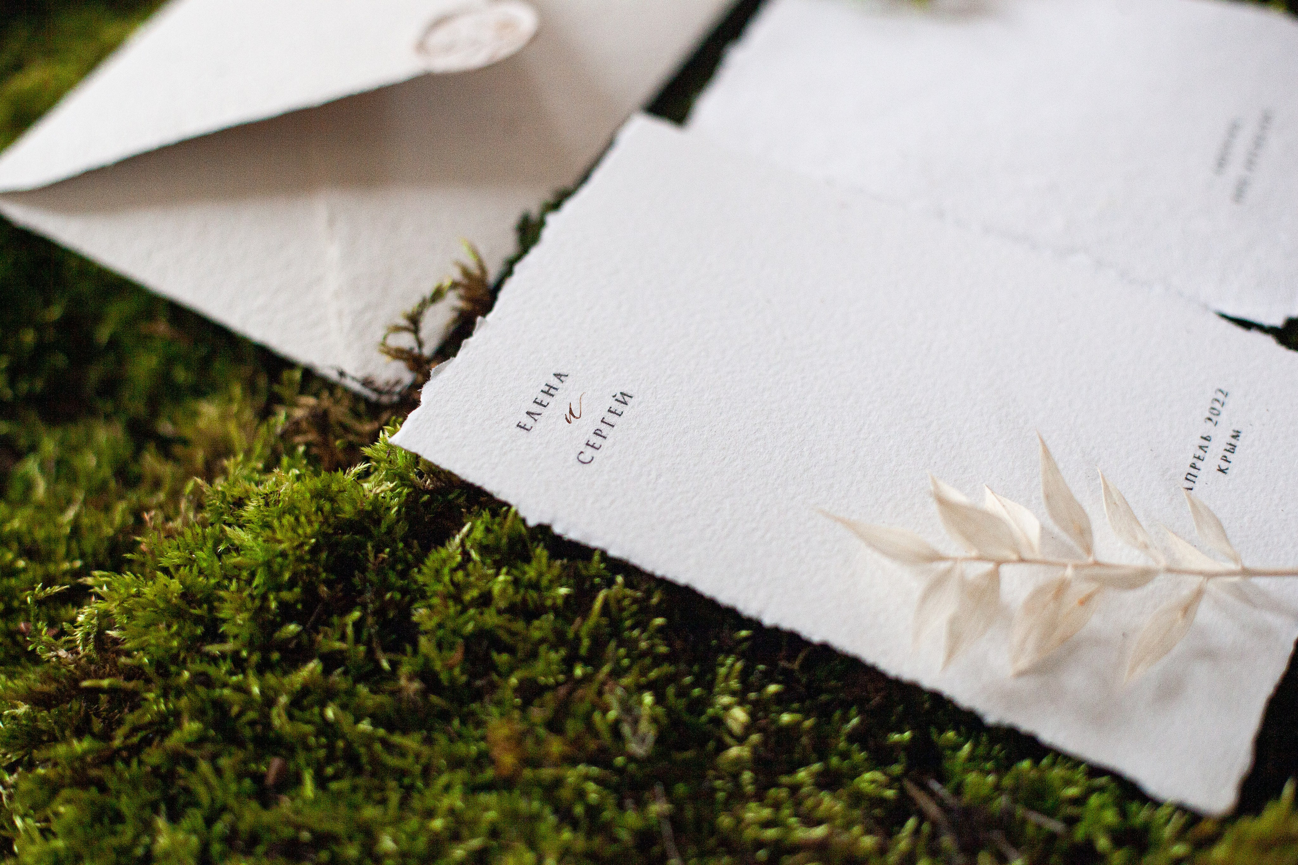 Свадебное. Фотограф Яна Романова