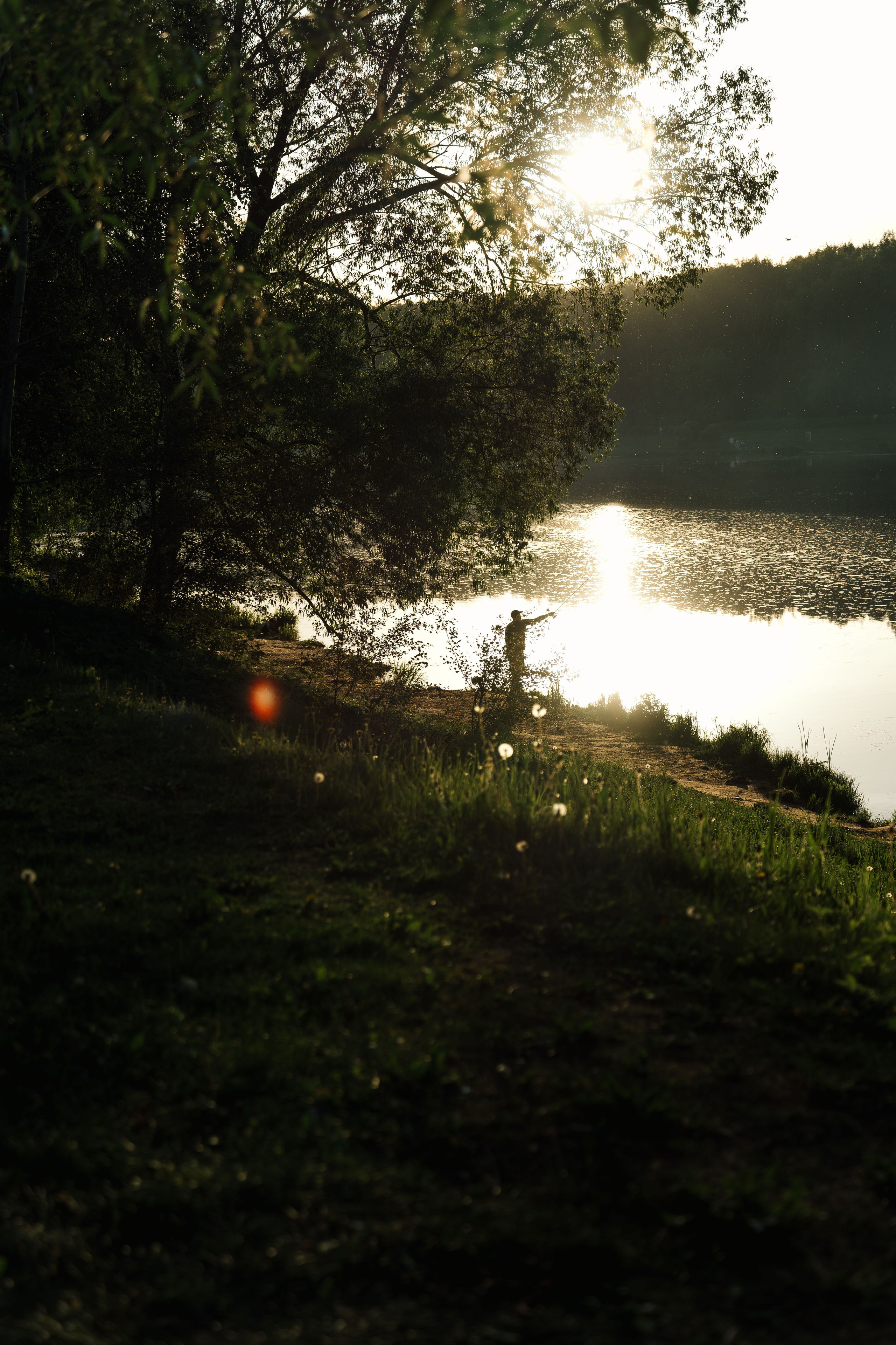 Жизнь в цветах. Алексей Гаас — фотограф