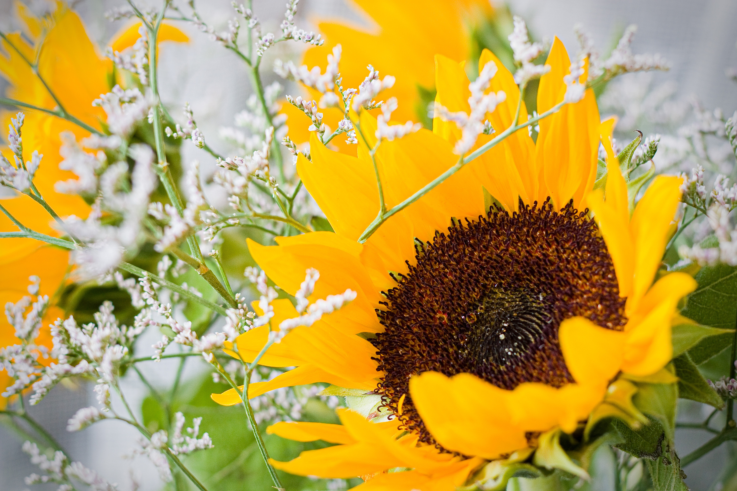 STREET. Репортажный фотограф. Москва