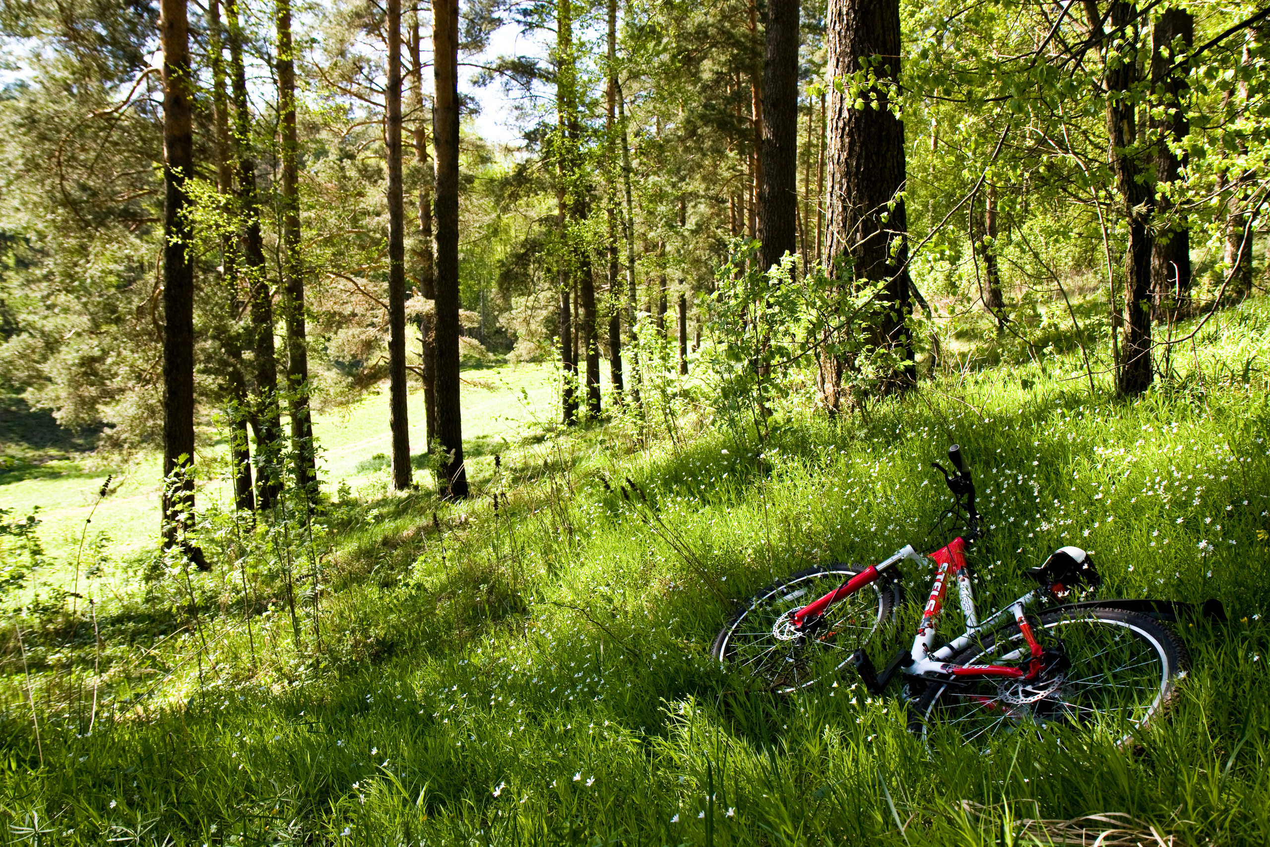 STREET. Репортажный фотограф. Москва