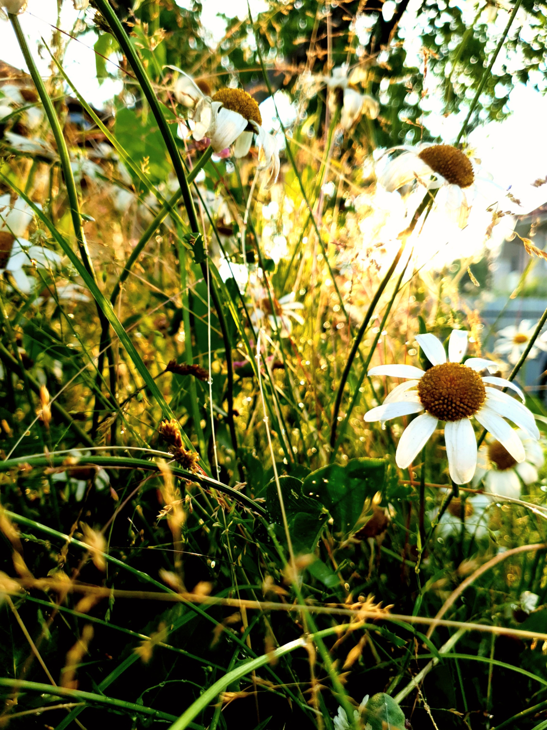 STREET. Репортажный фотограф. Москва